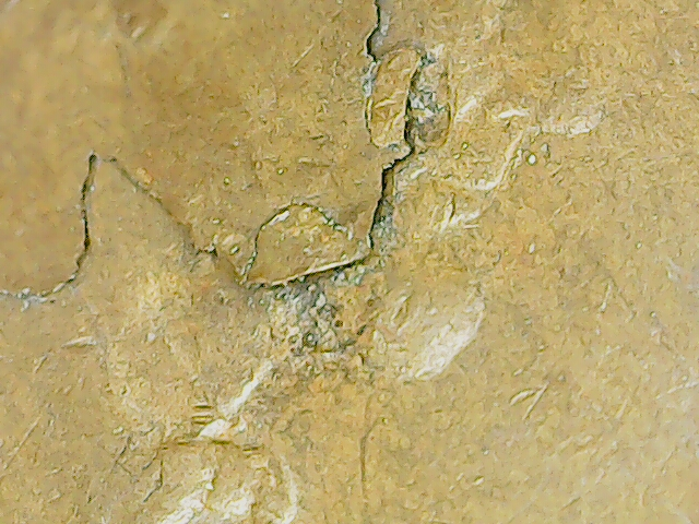 20230612_16_45_55.png