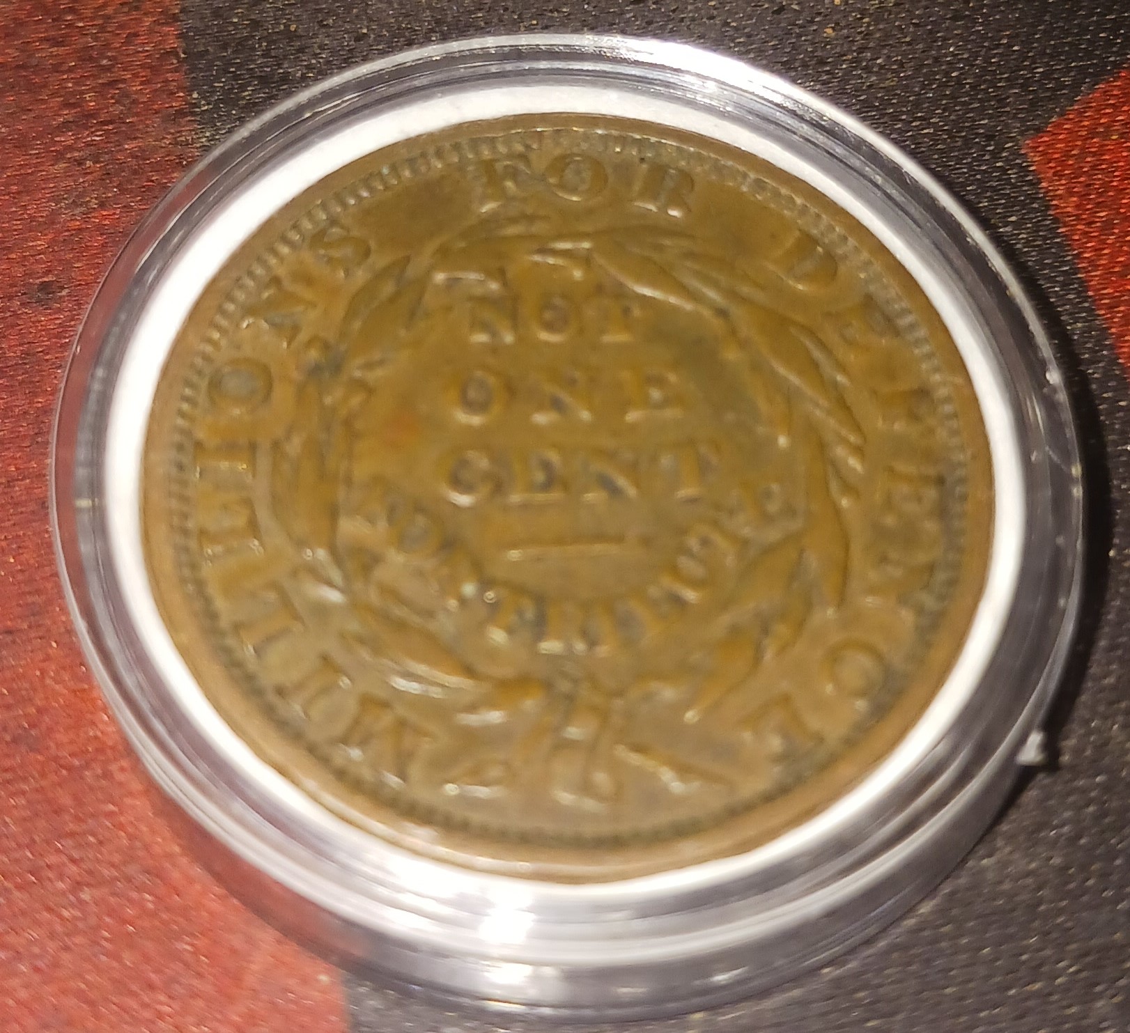 20230615_160628.jpg