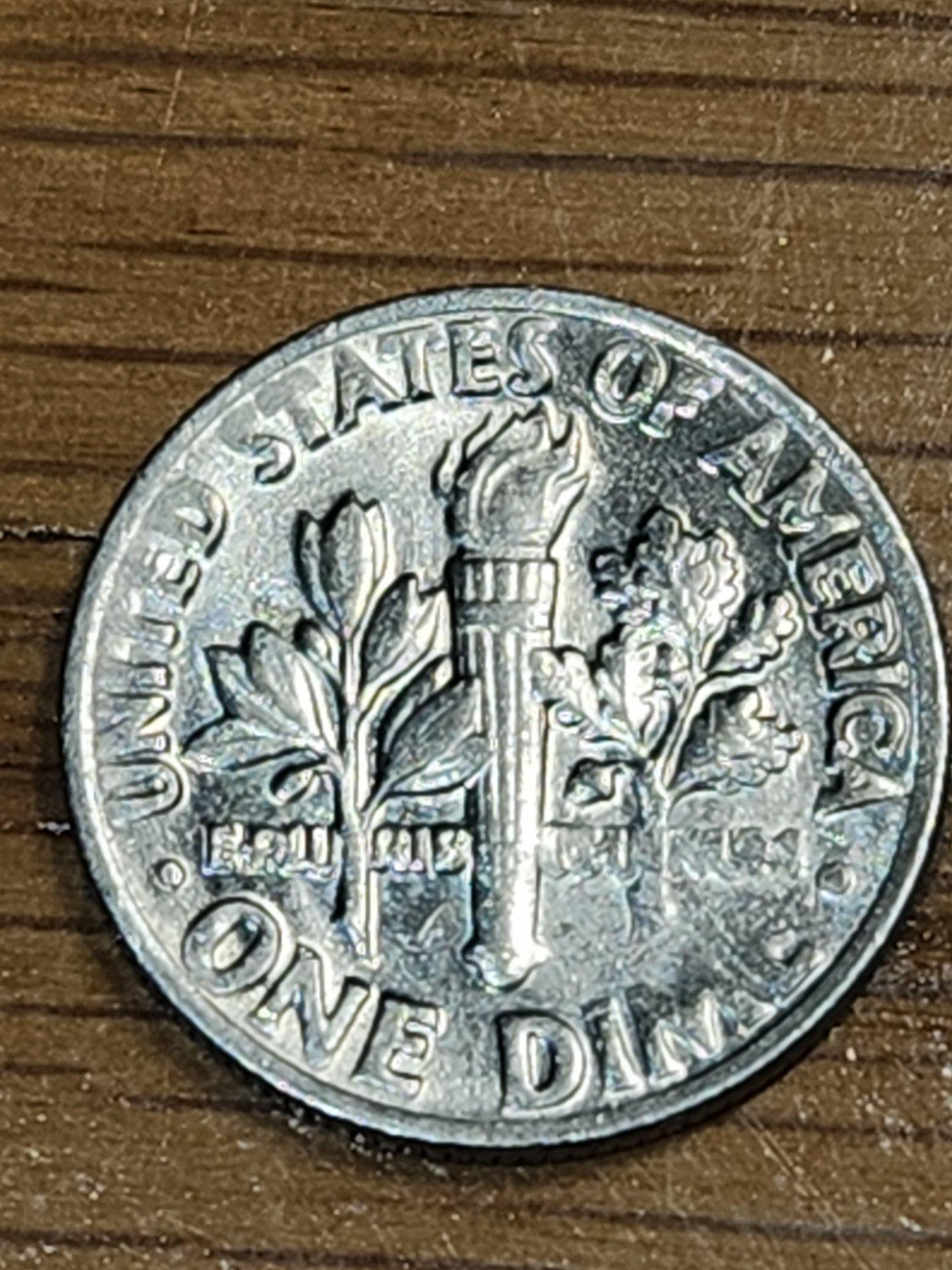 20230627_153207.jpg
