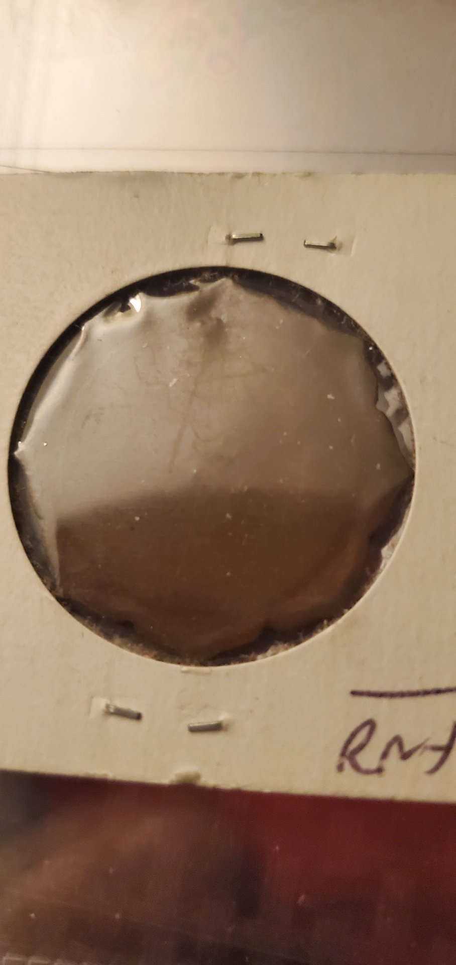 20230701_004842.jpg