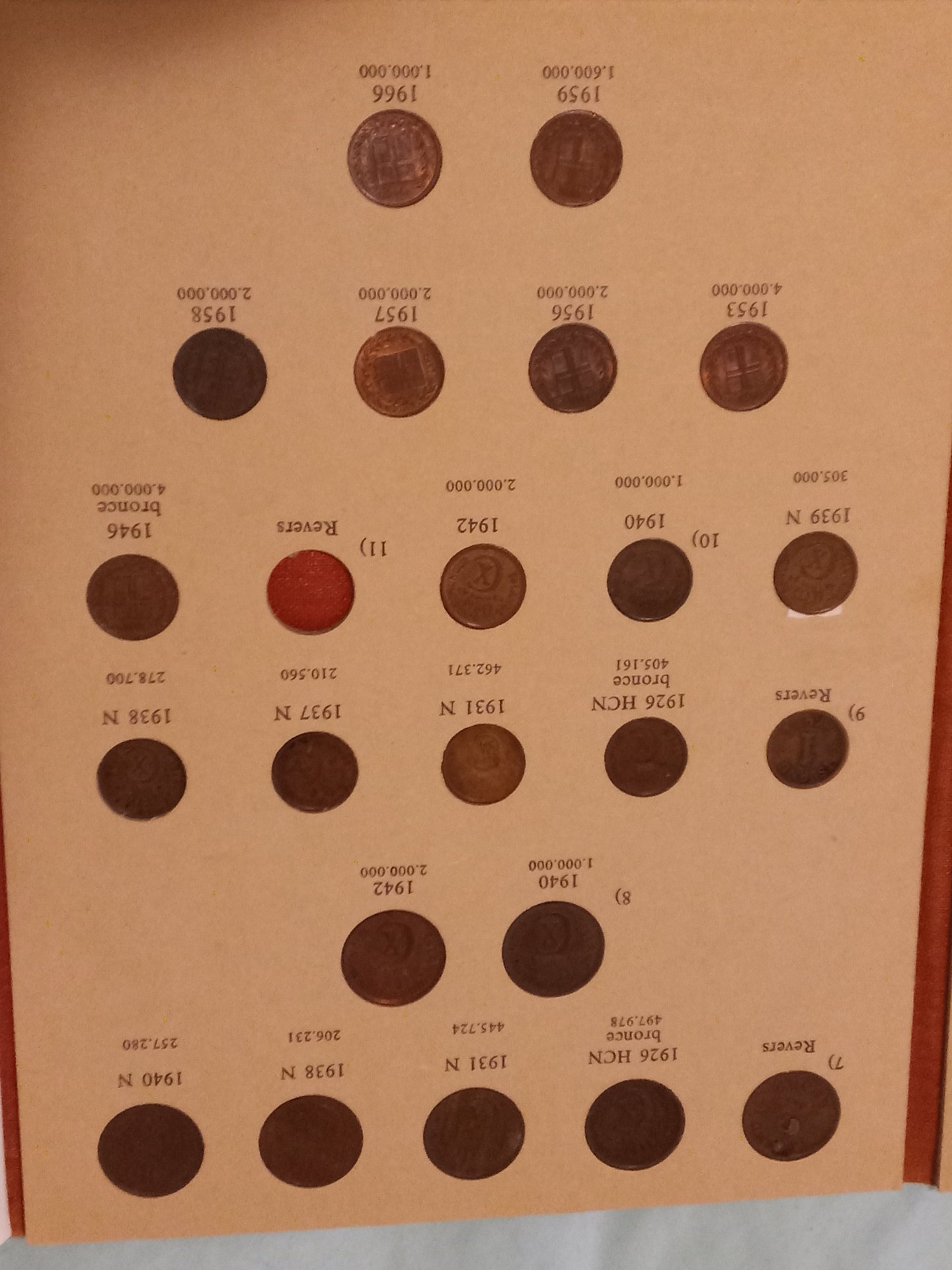 20230716_193107.jpg