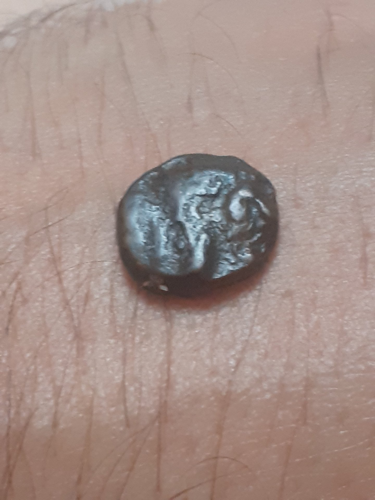 20230716_212120.jpg