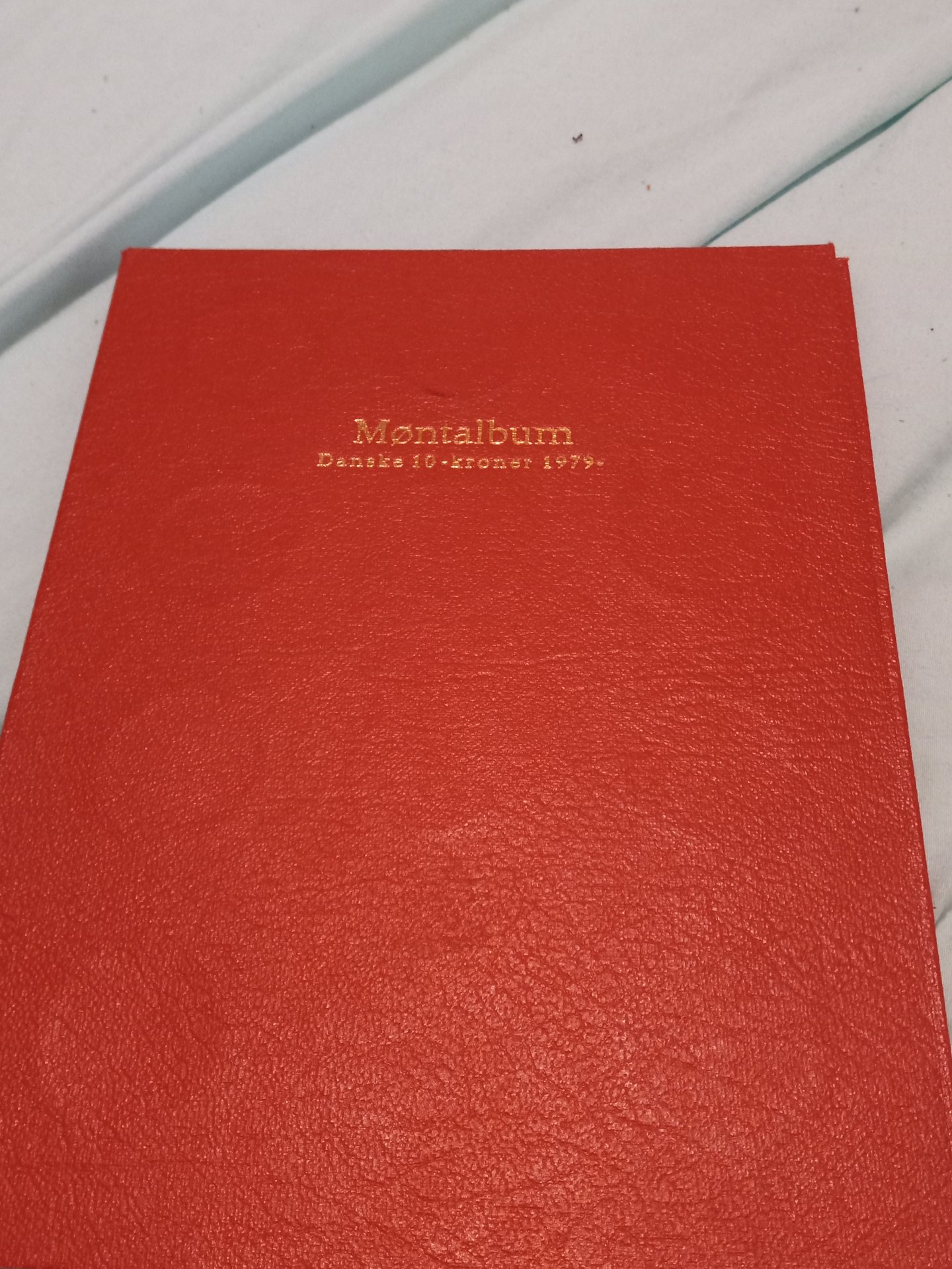 20230720_201244.jpg