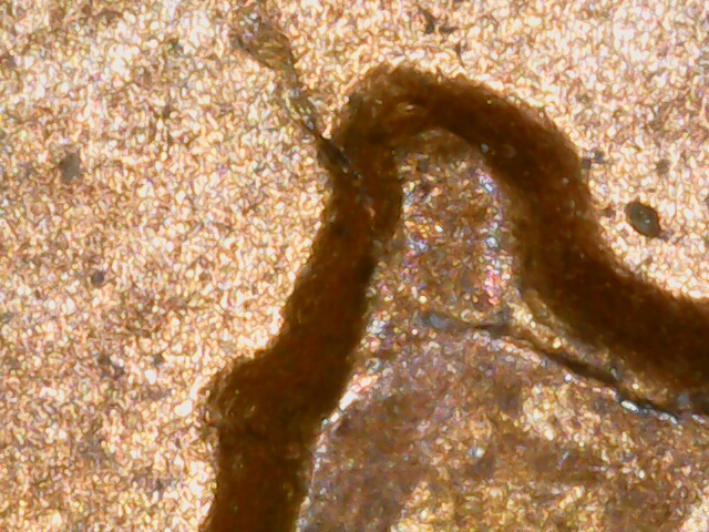 20230814_17_57_03.png