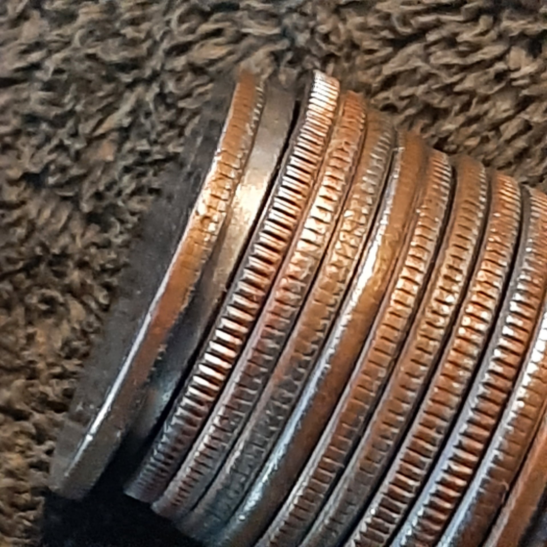 20230828_170027.jpg