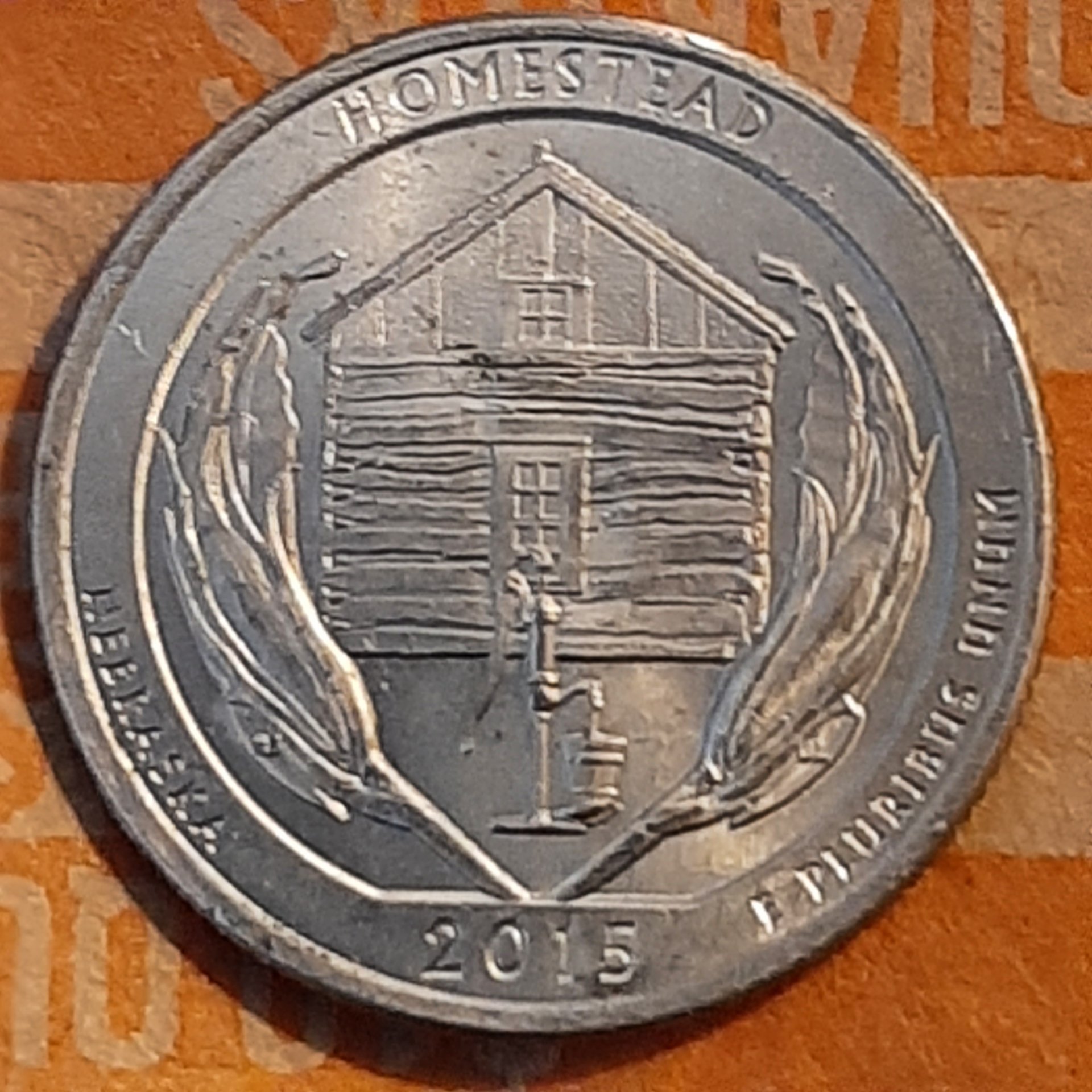 20230903_164346.jpg