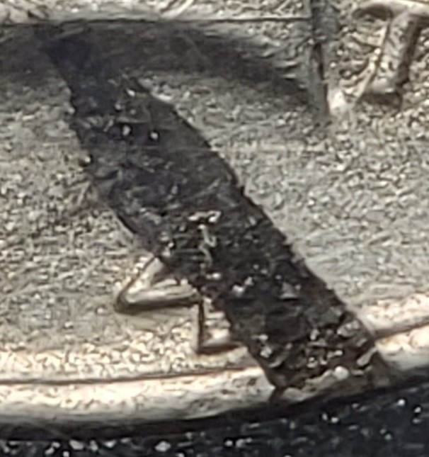 20230906_192709.jpg