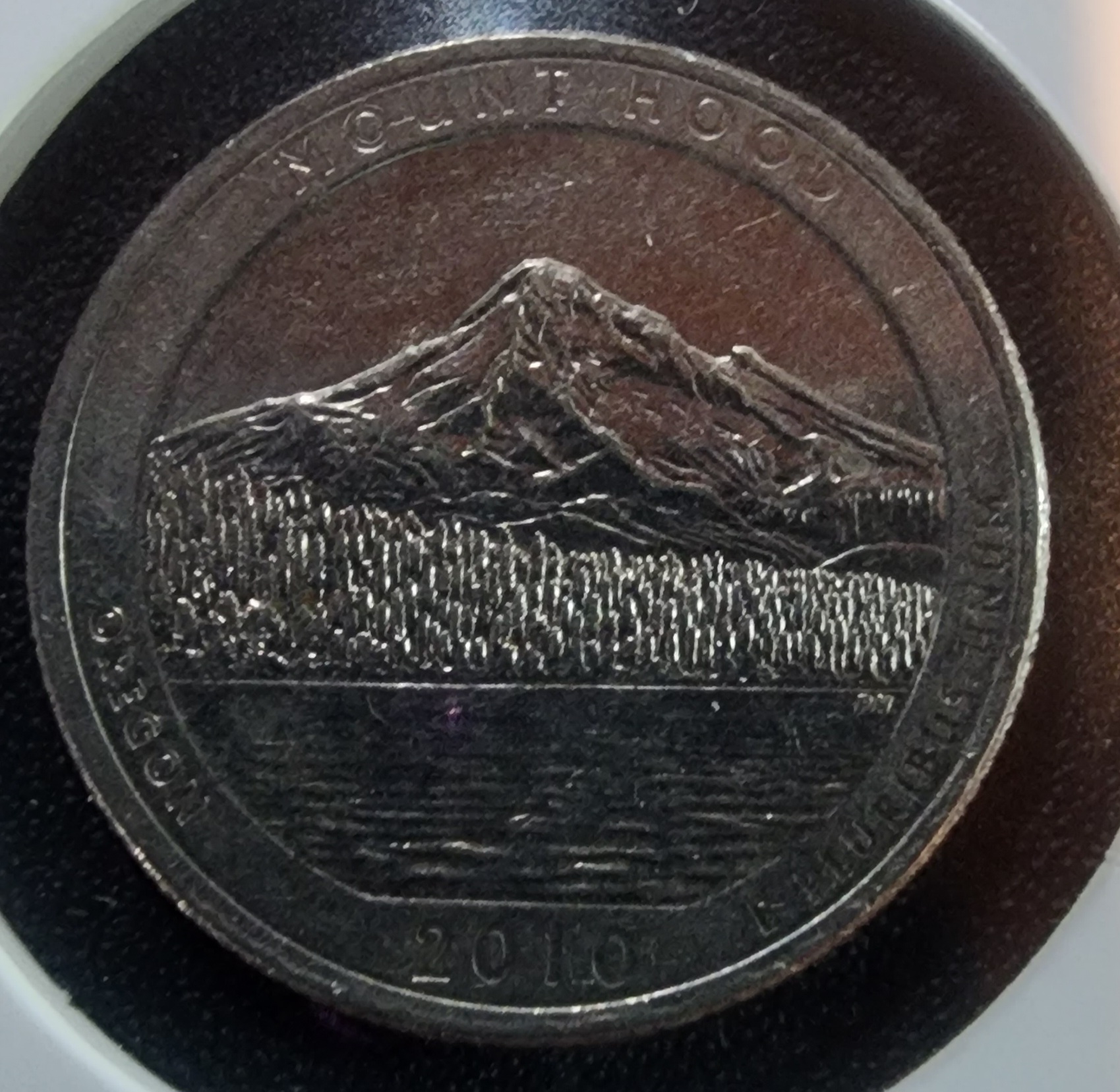 20230907_112453.jpg