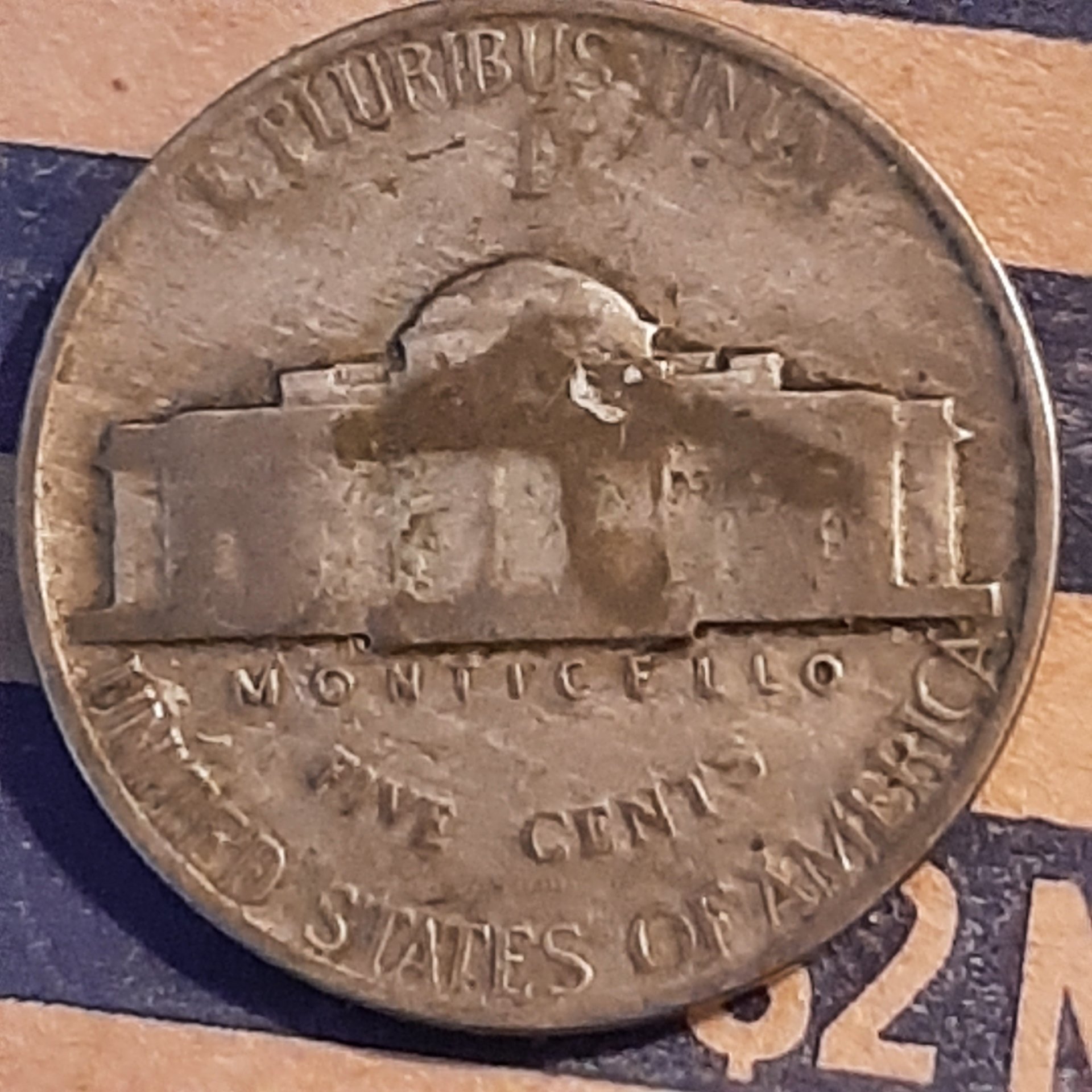 20230911_155339.jpg