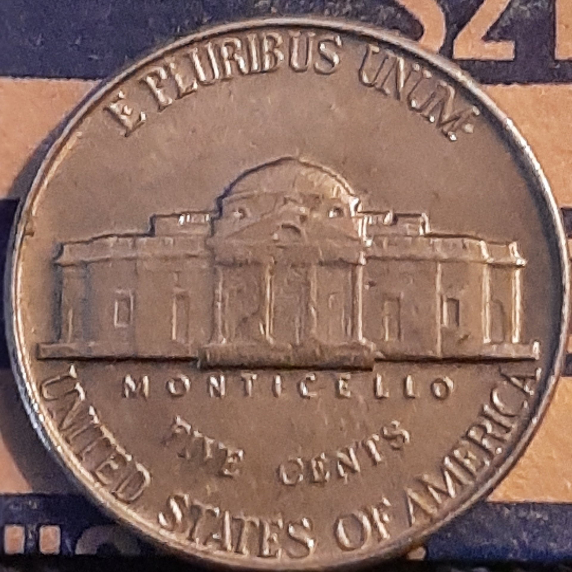 20230911_155514.jpg