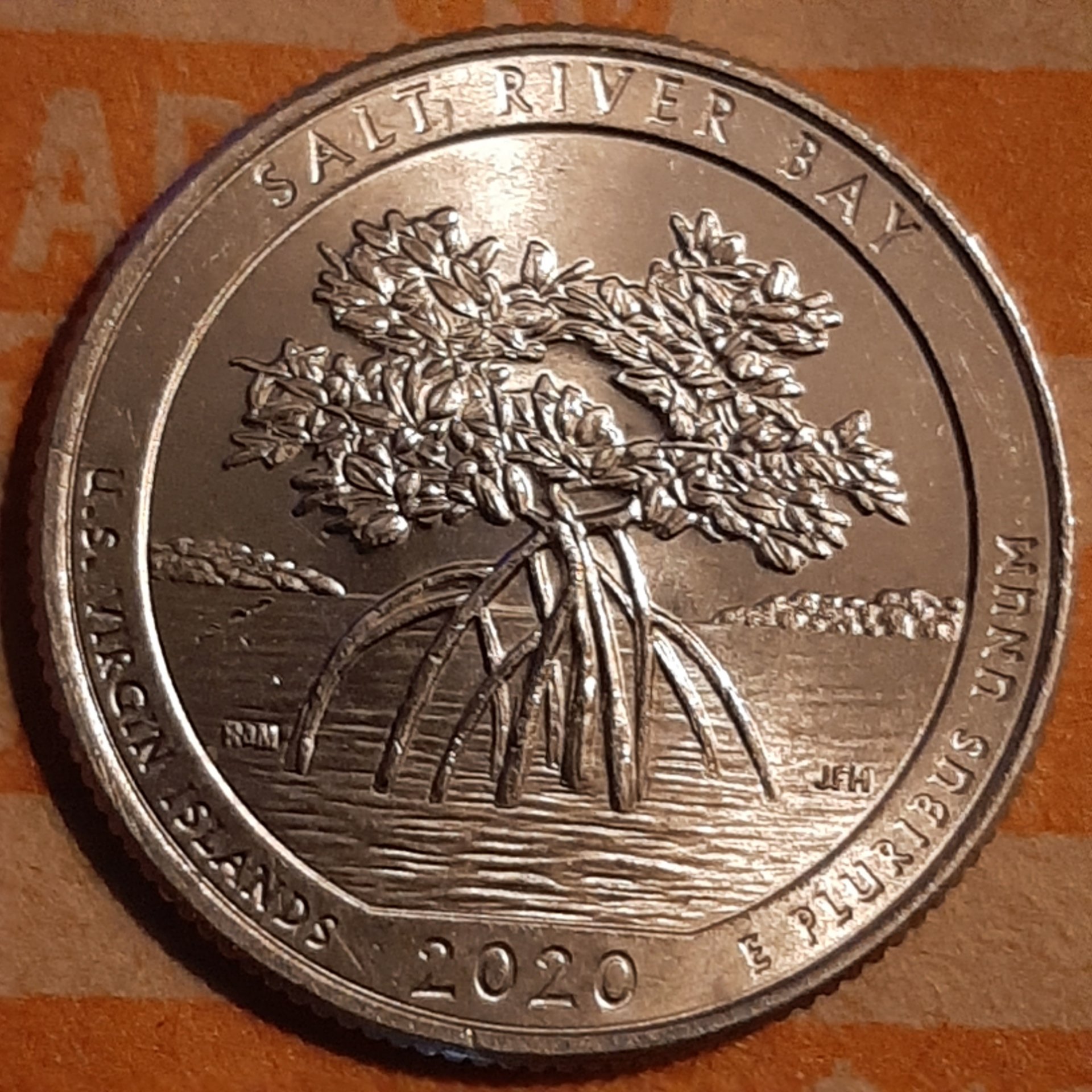 20230911_194026.jpg