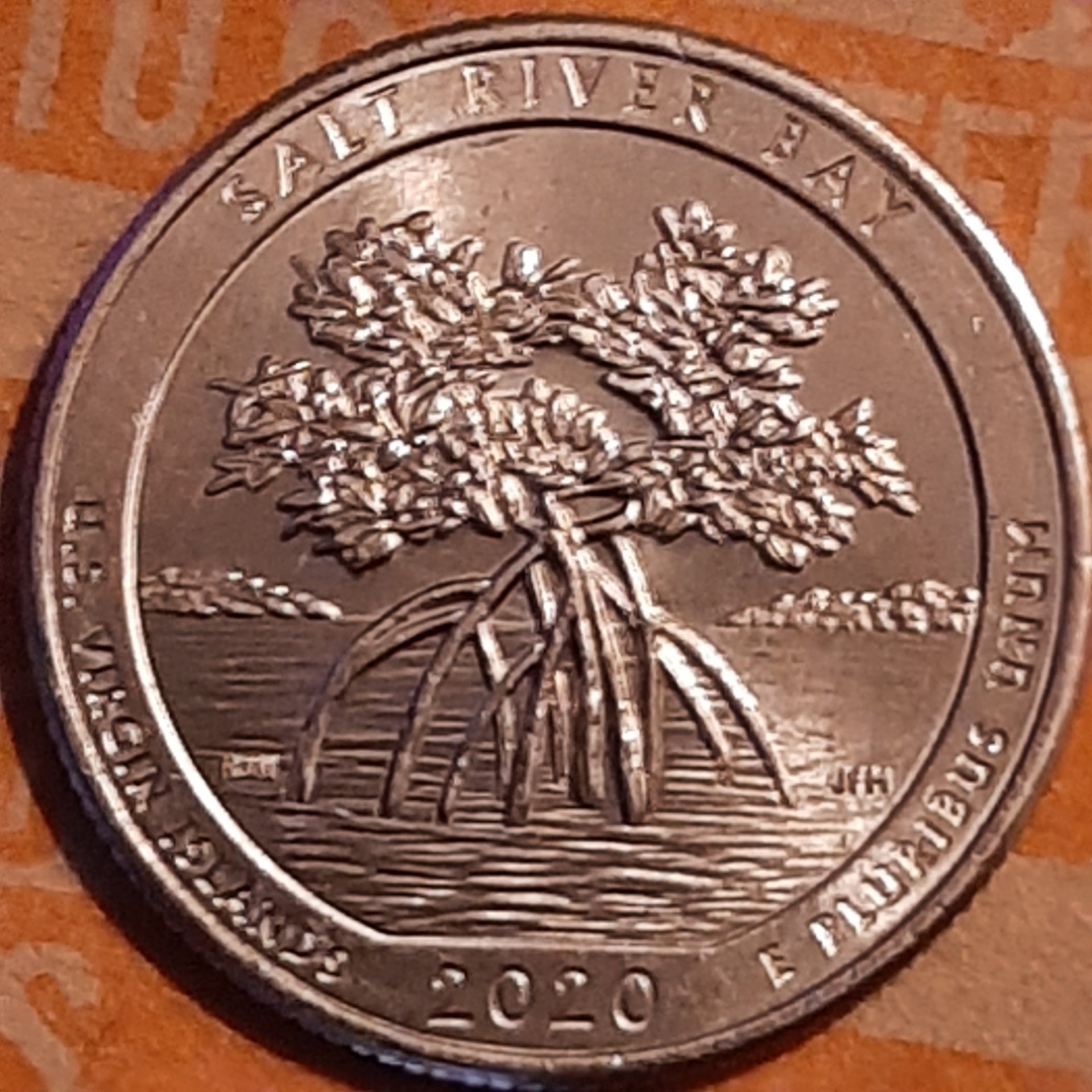 20230911_194412.jpg