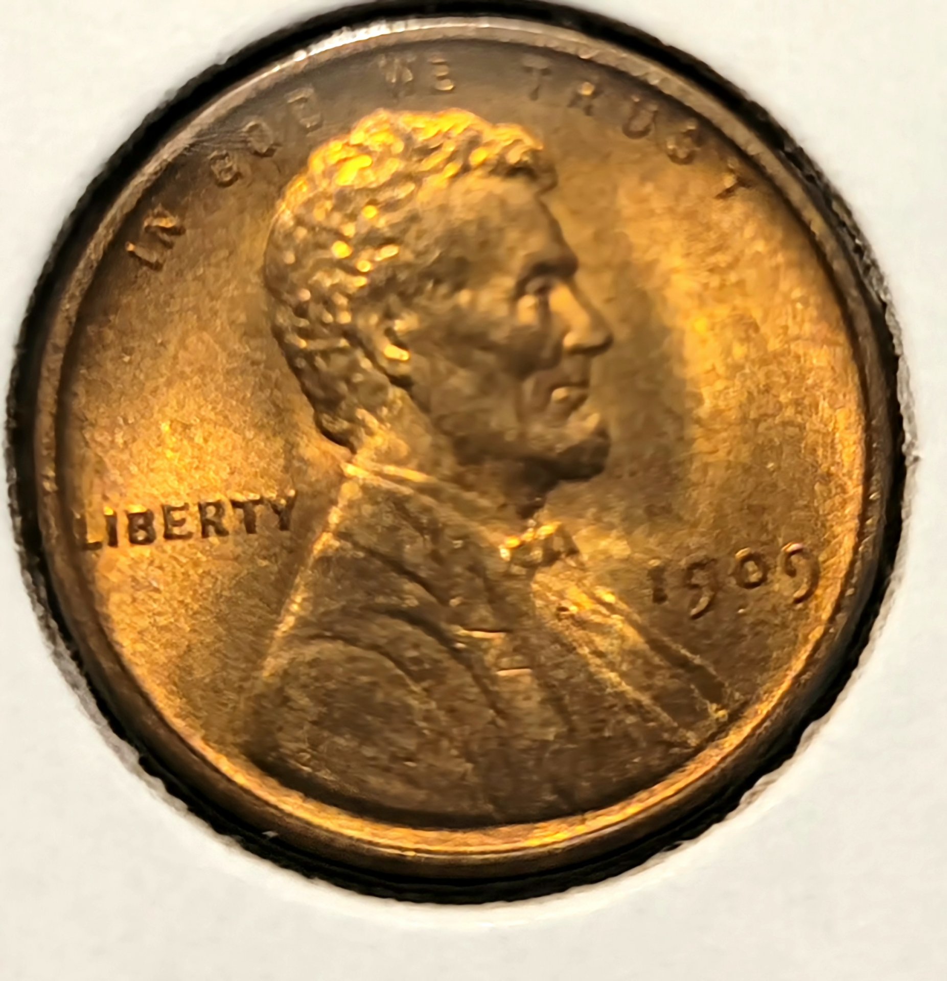 20230922_185227.jpg