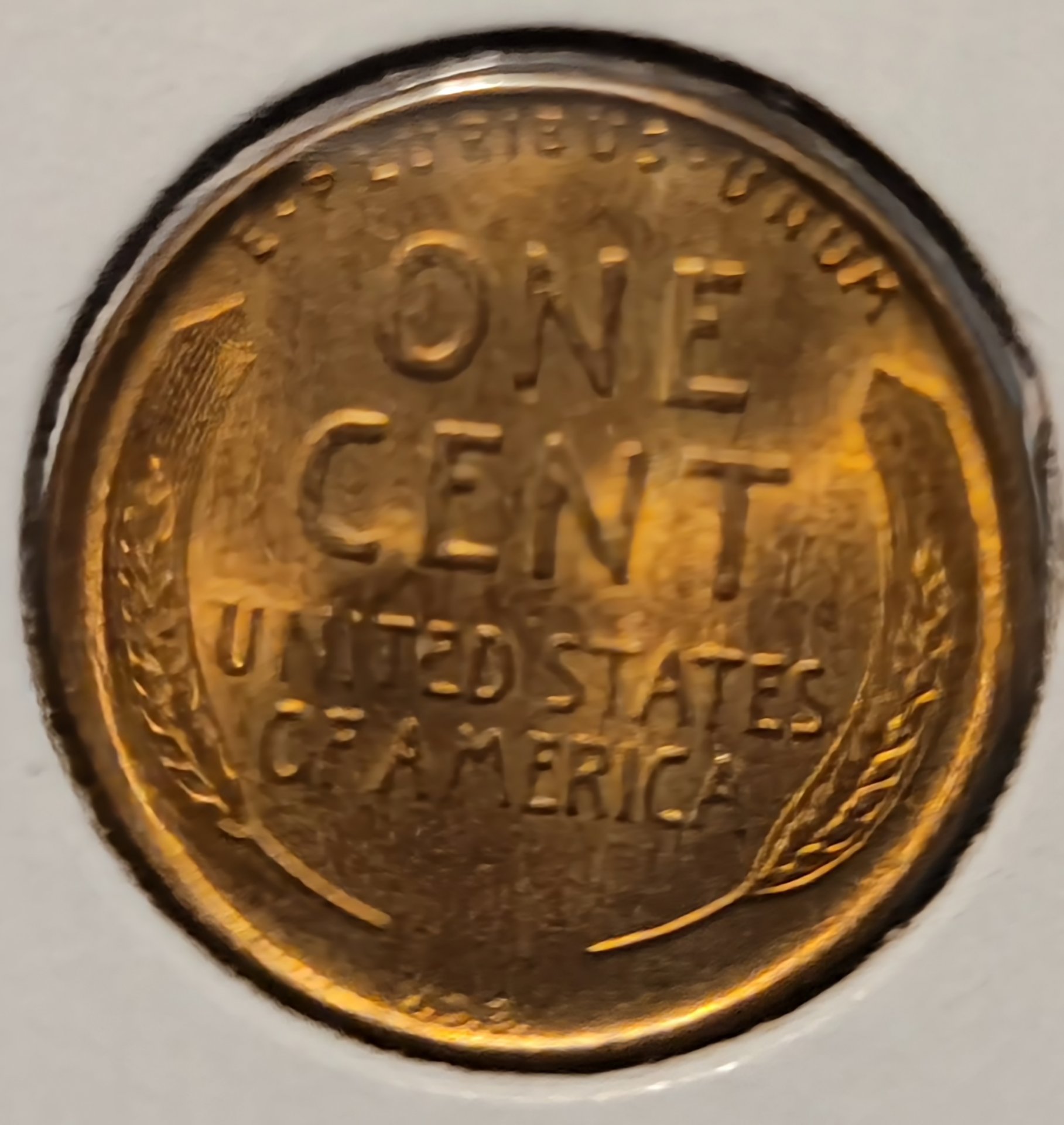 20230922_185242.jpg
