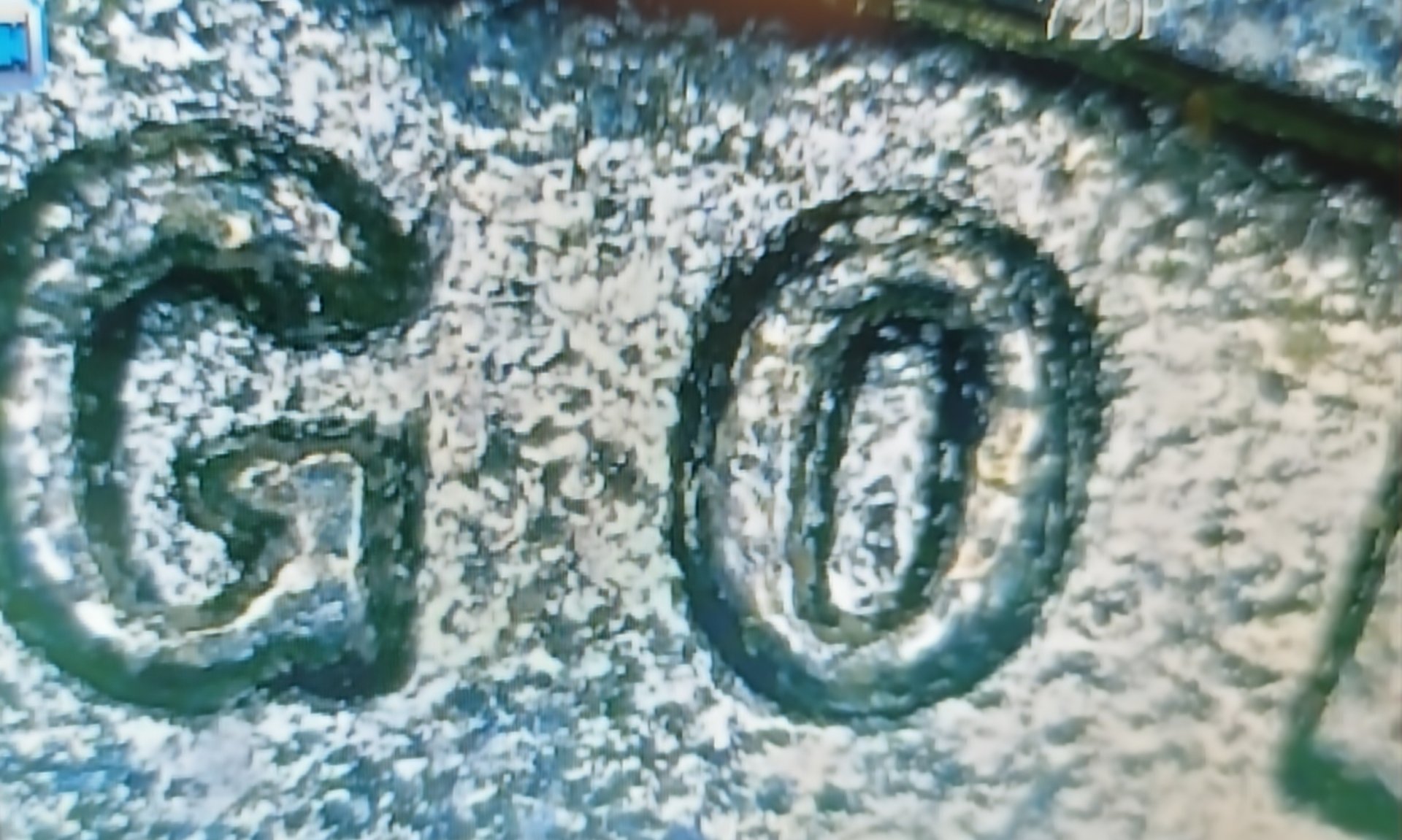 20230923_151429.jpg