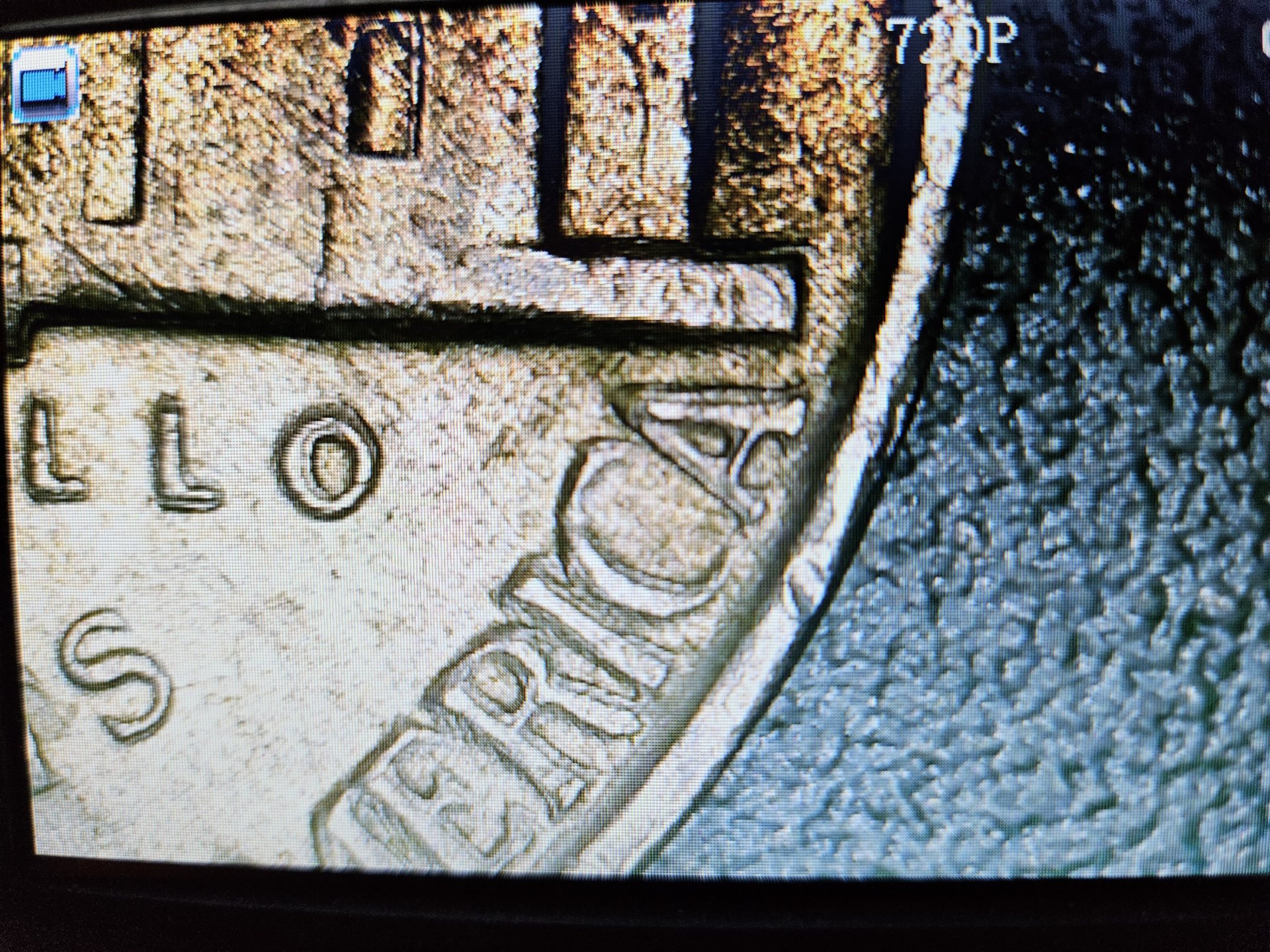 20231004_120234.jpg