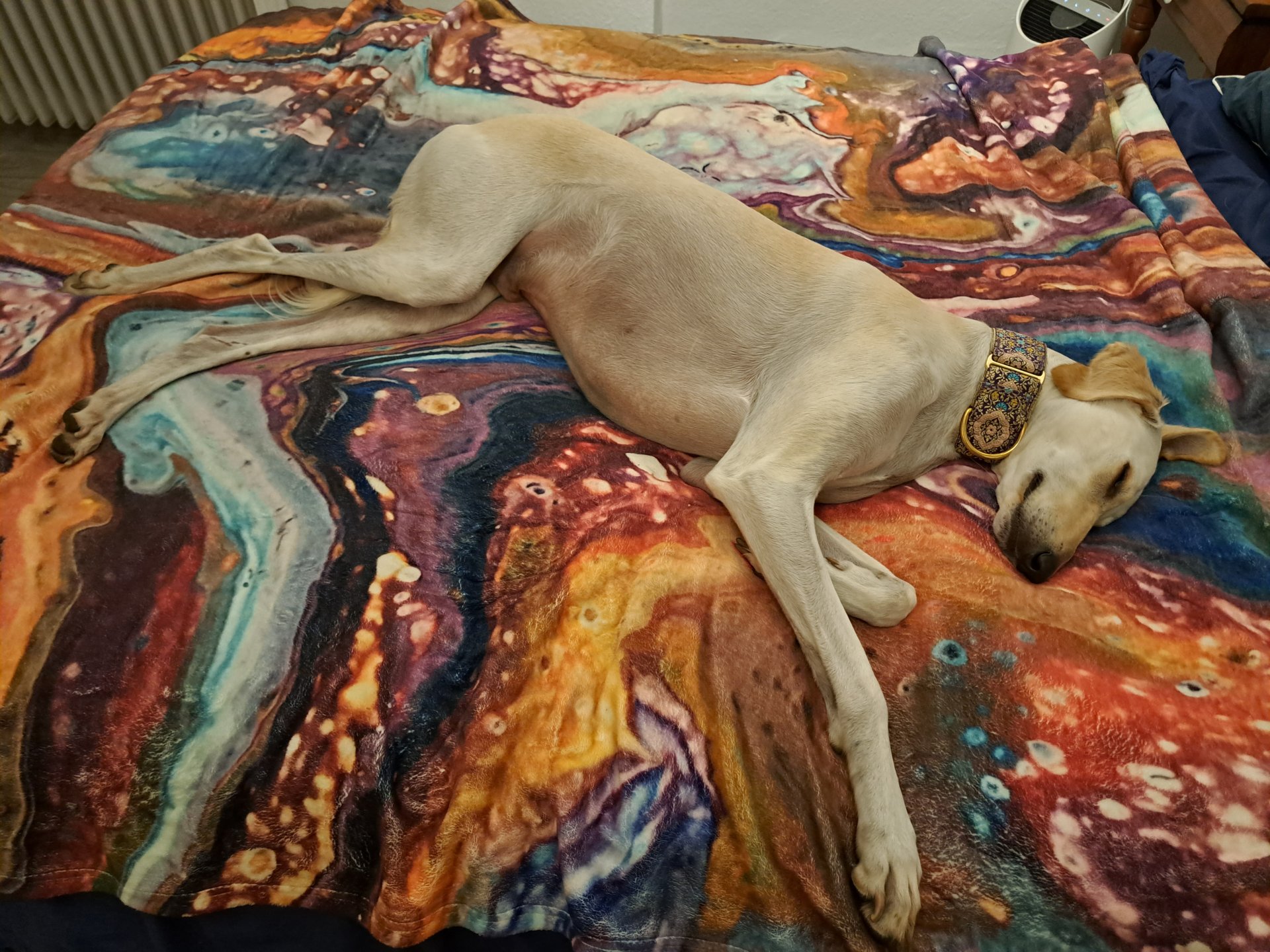 20231012_211318.jpg