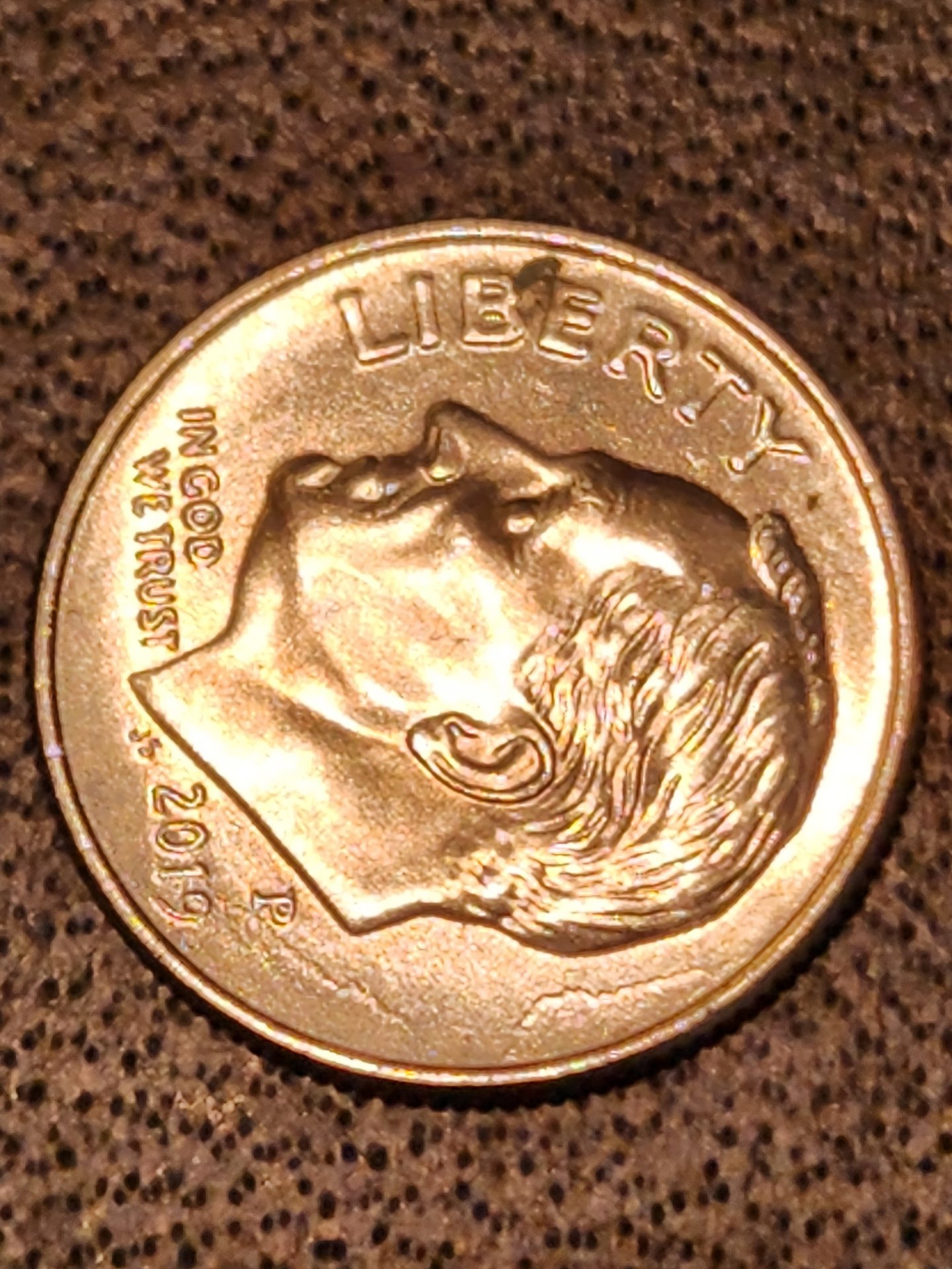 20231106_160519.jpg