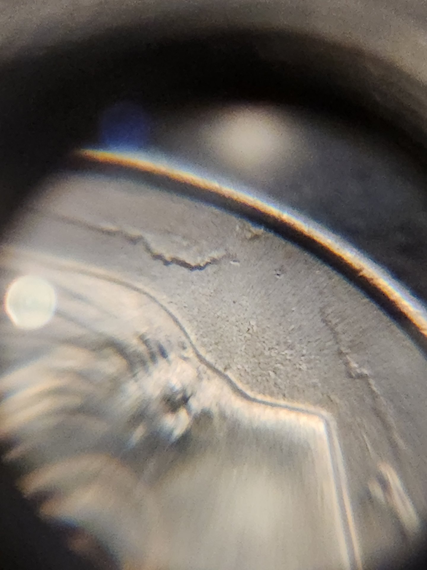 20231106_160654.jpg