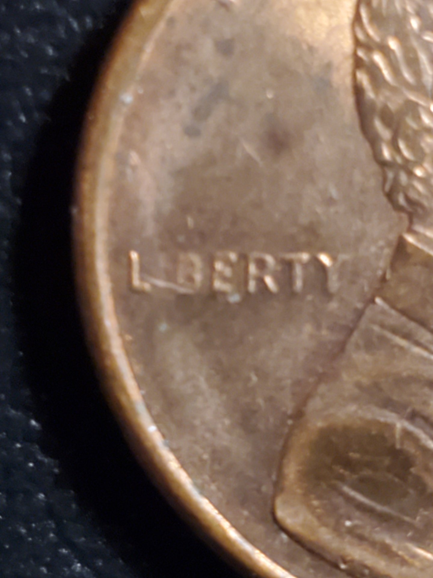 20231121_050959.jpg