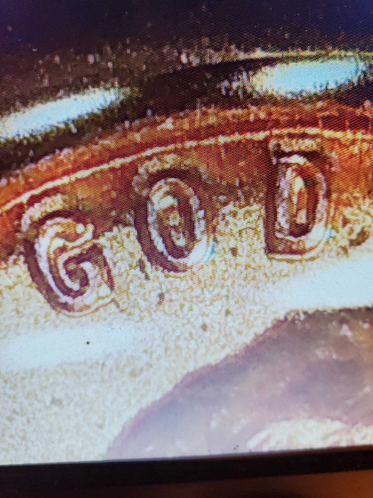 20231216_202110.jpg