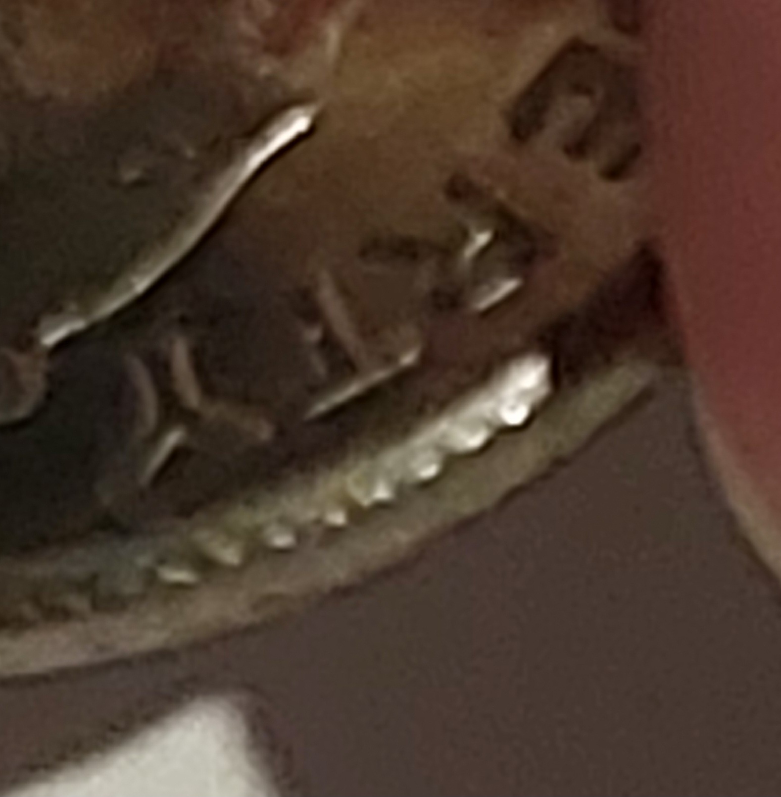 20231222_182256.jpg