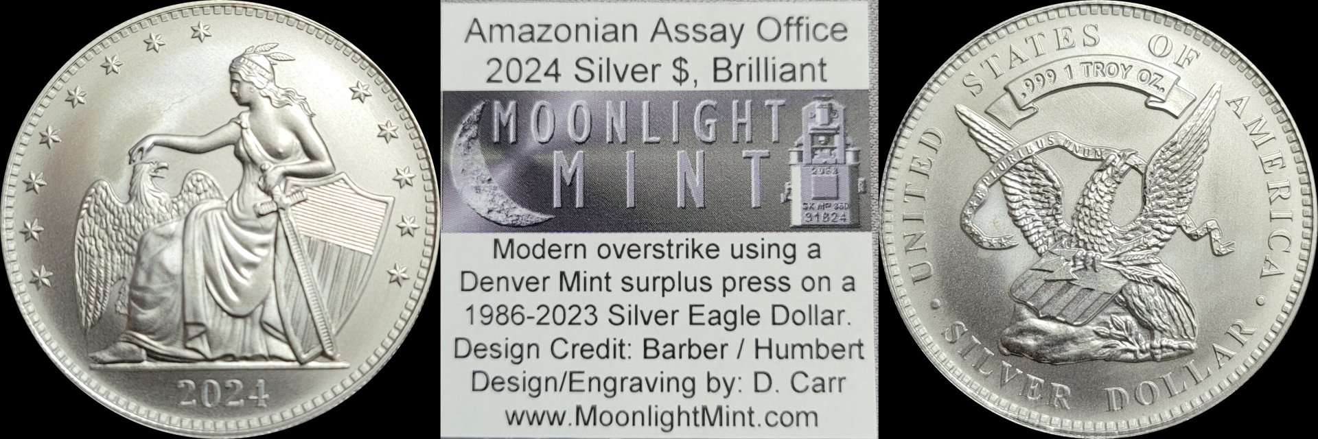 2024 Amazonian Brillan 1-horz.jpg