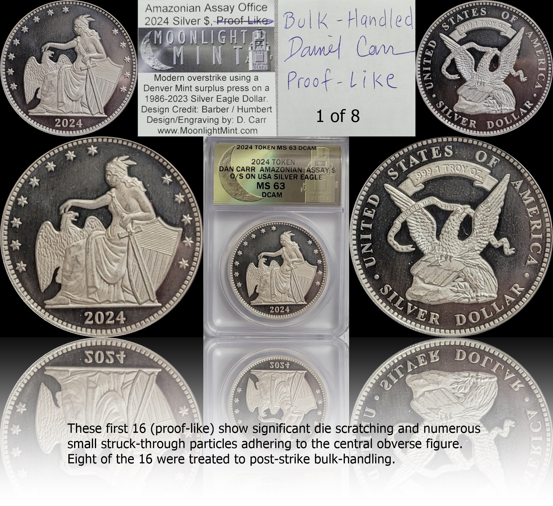 2024 Amazonian Brillan 1of 8.jpg