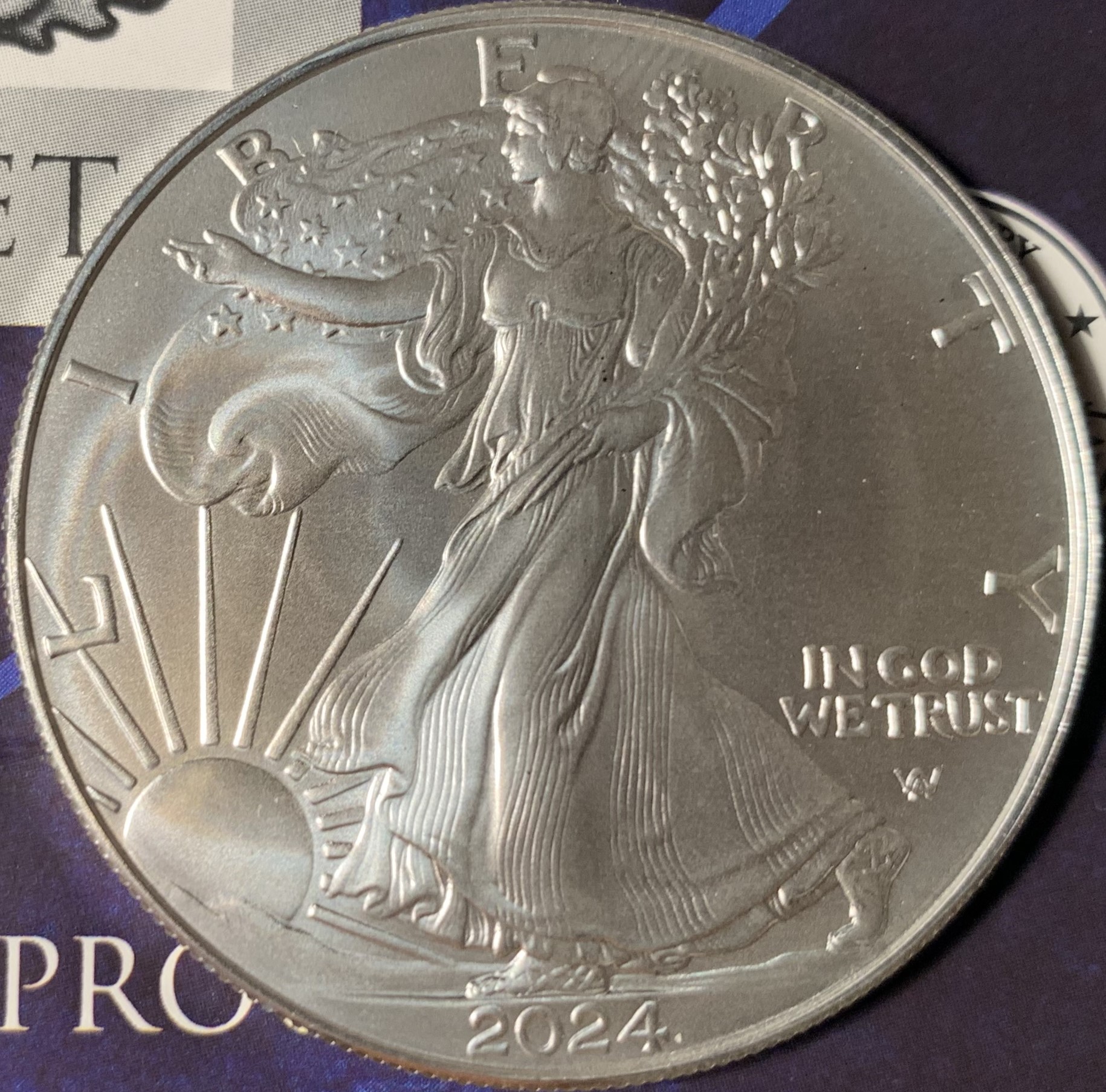 2024 ASE Bullion - Obverse.jpg