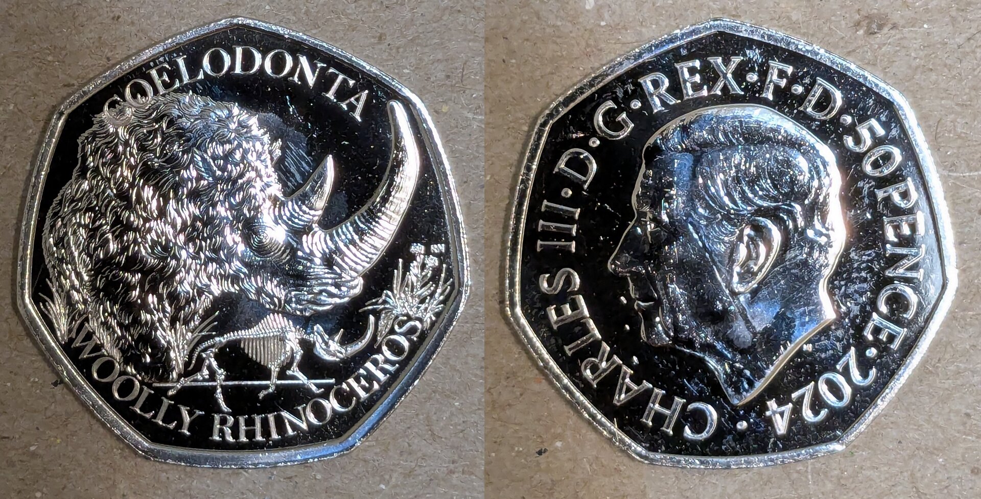 2024 britain 50 pence woolly rhino.jpg