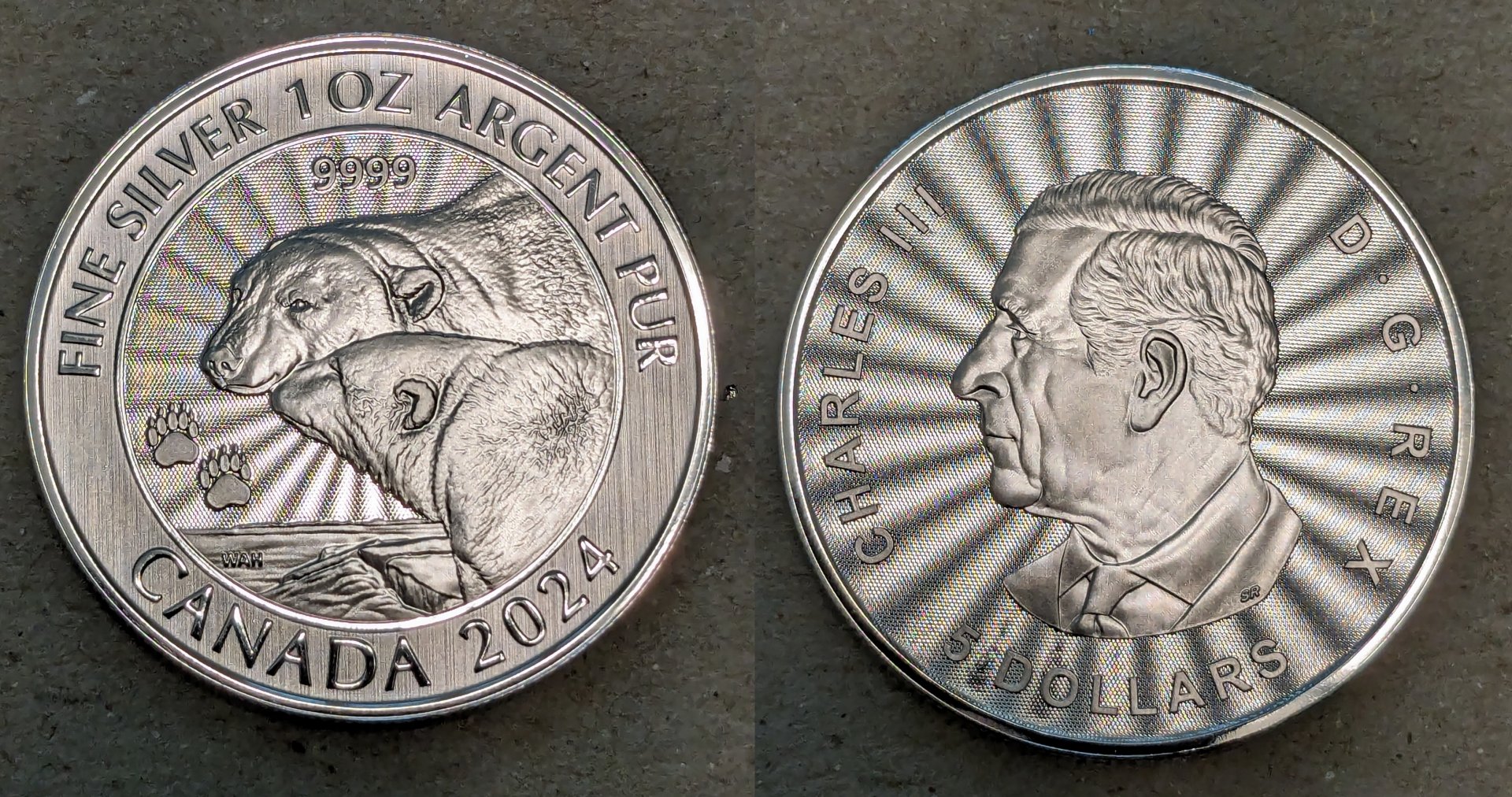 2024 canada 5 dollars polar bears.jpg