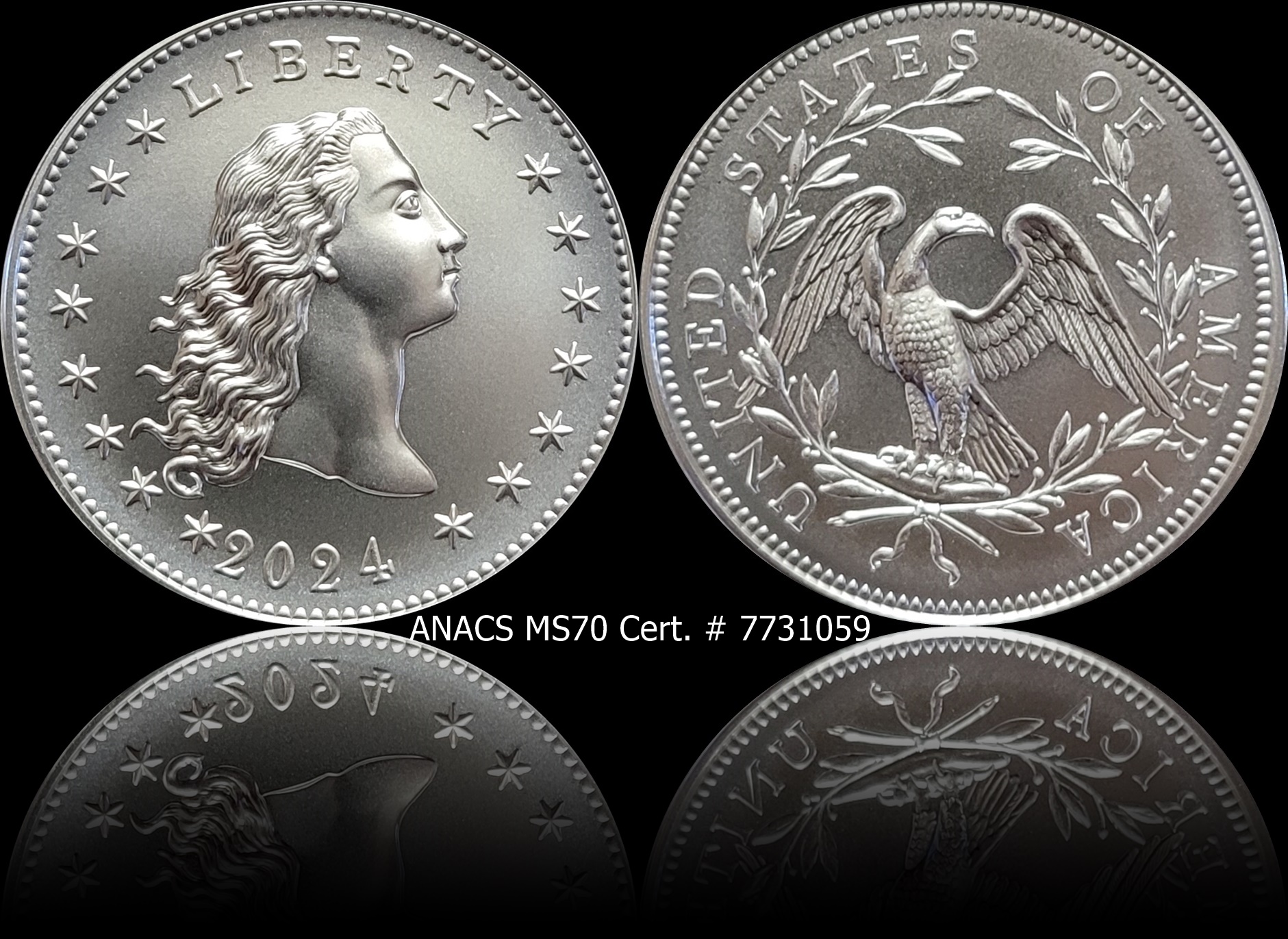 2024 Flowing Hair Medal ANACS MS 70.jpg