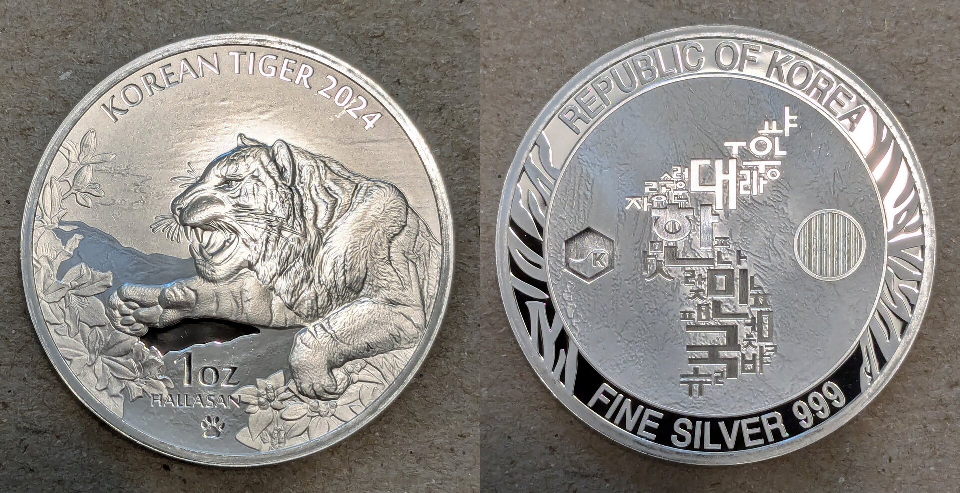2024 korean tiger.jpg