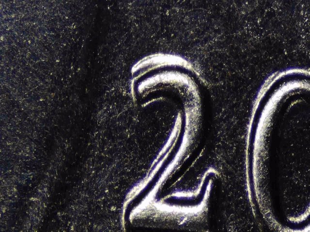 2024-p close up.jpg