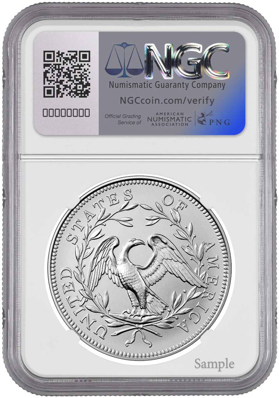 2024-Silver-Medal-MS-REV-White_24e4__27321.1726253007.1280.1280__42466.jpg