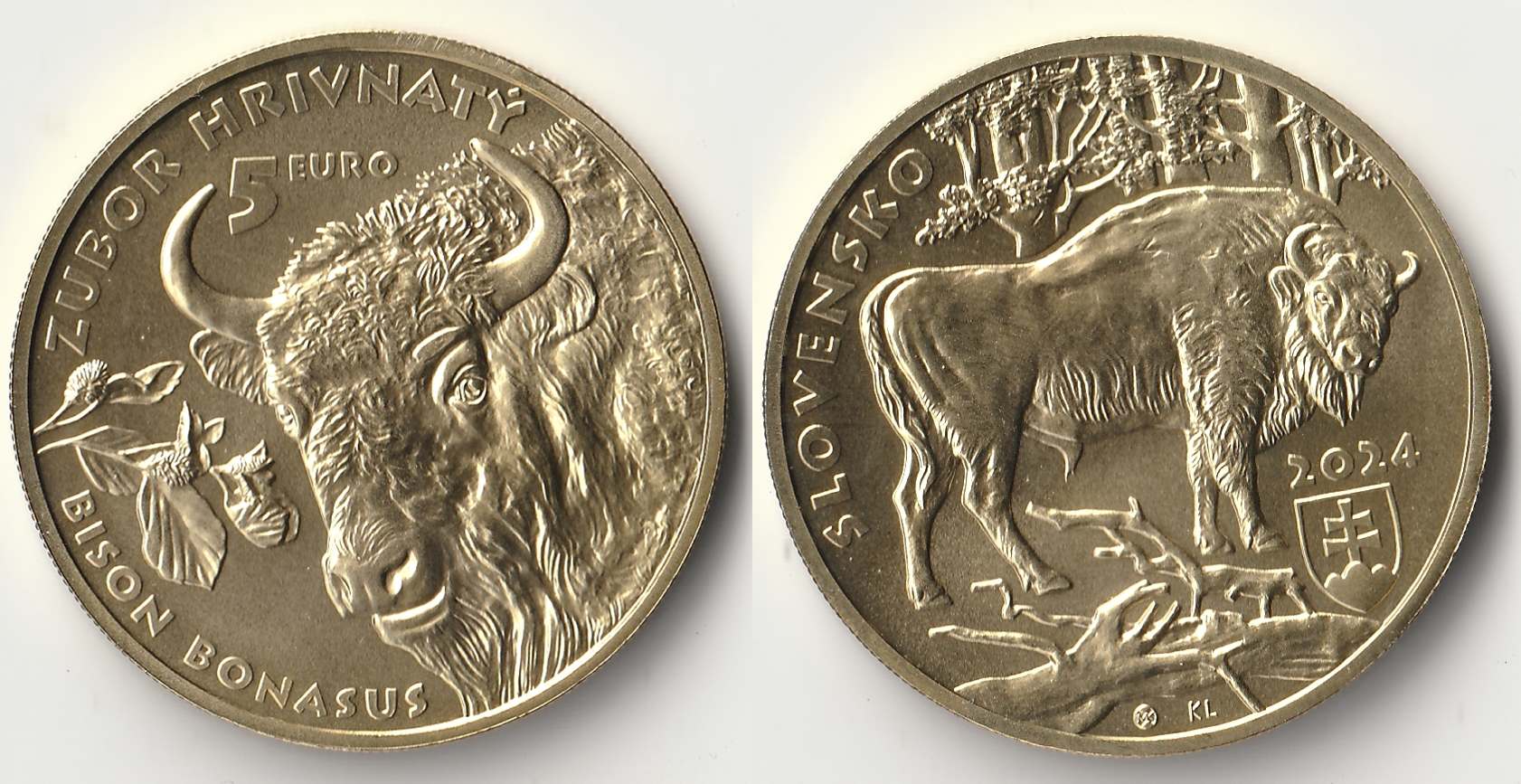 2024 slovakia 5 euro.jpg