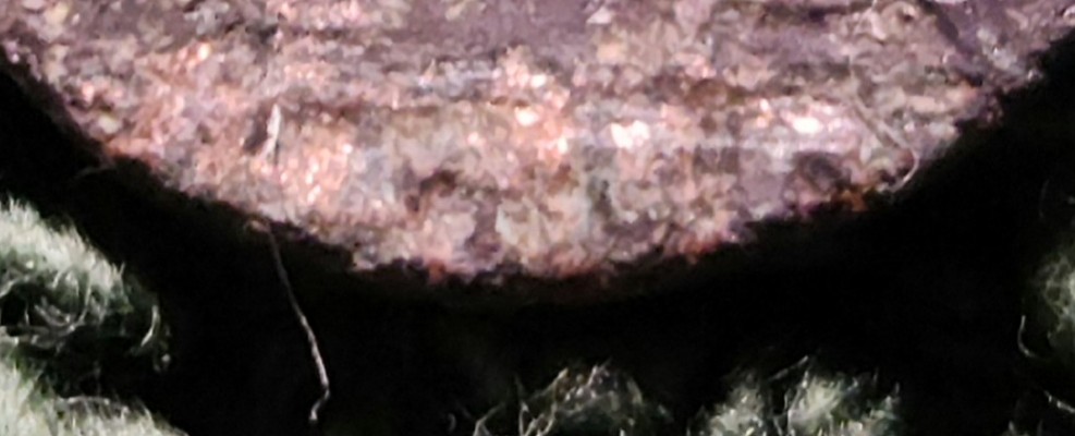 20240108_222838~2.jpg