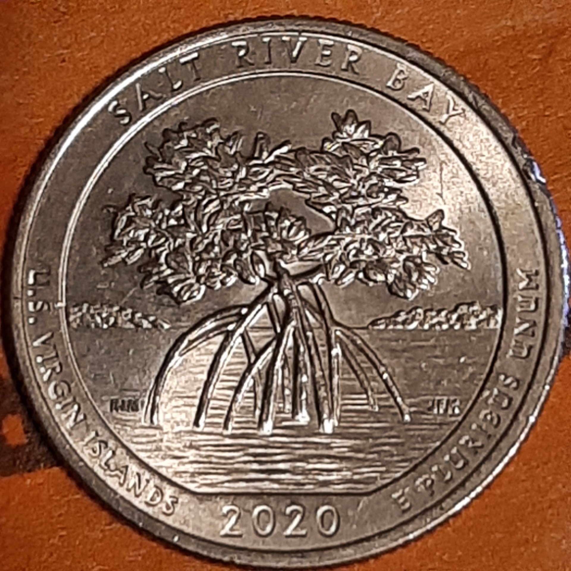 20240119_181000.jpg
