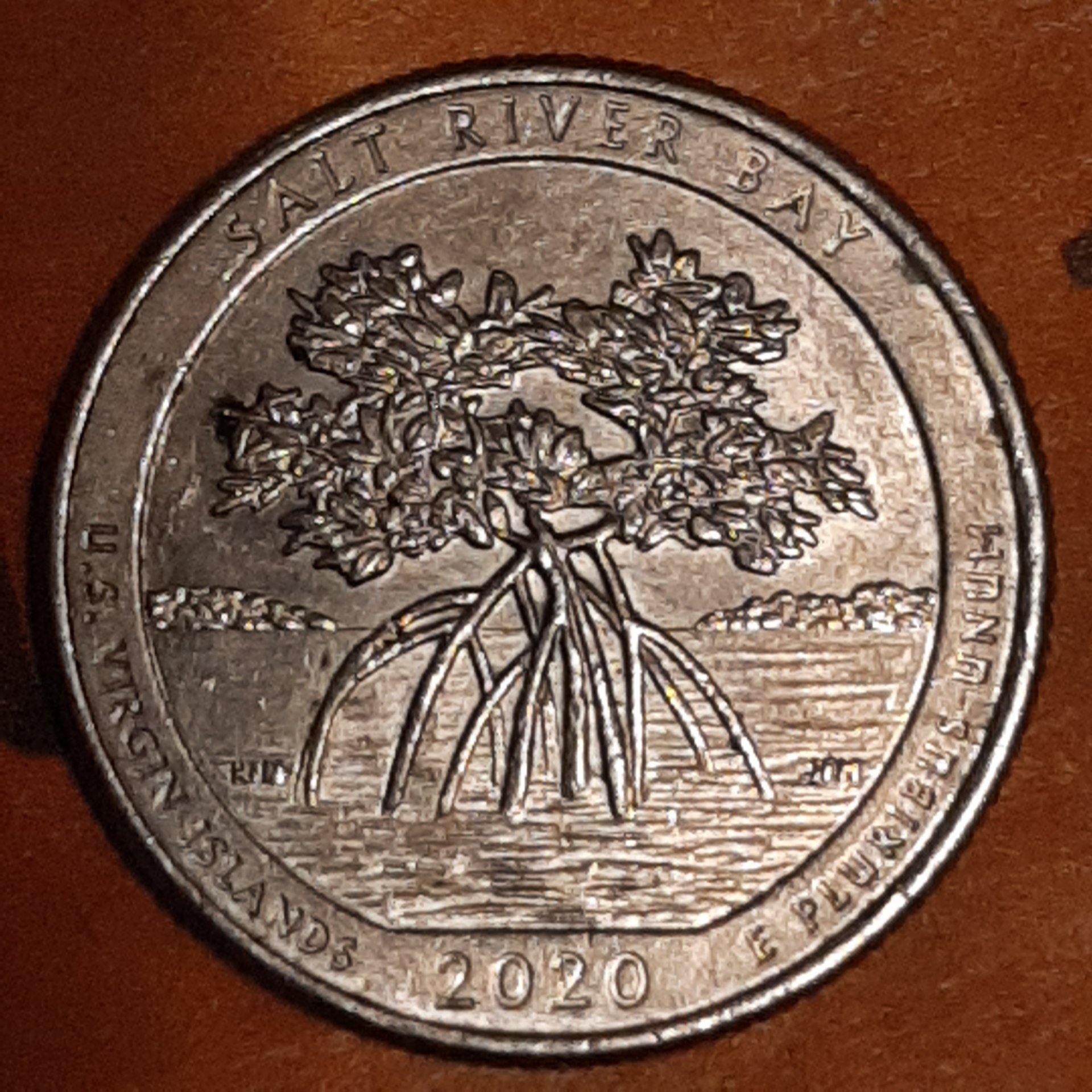 20240119_184534.jpg