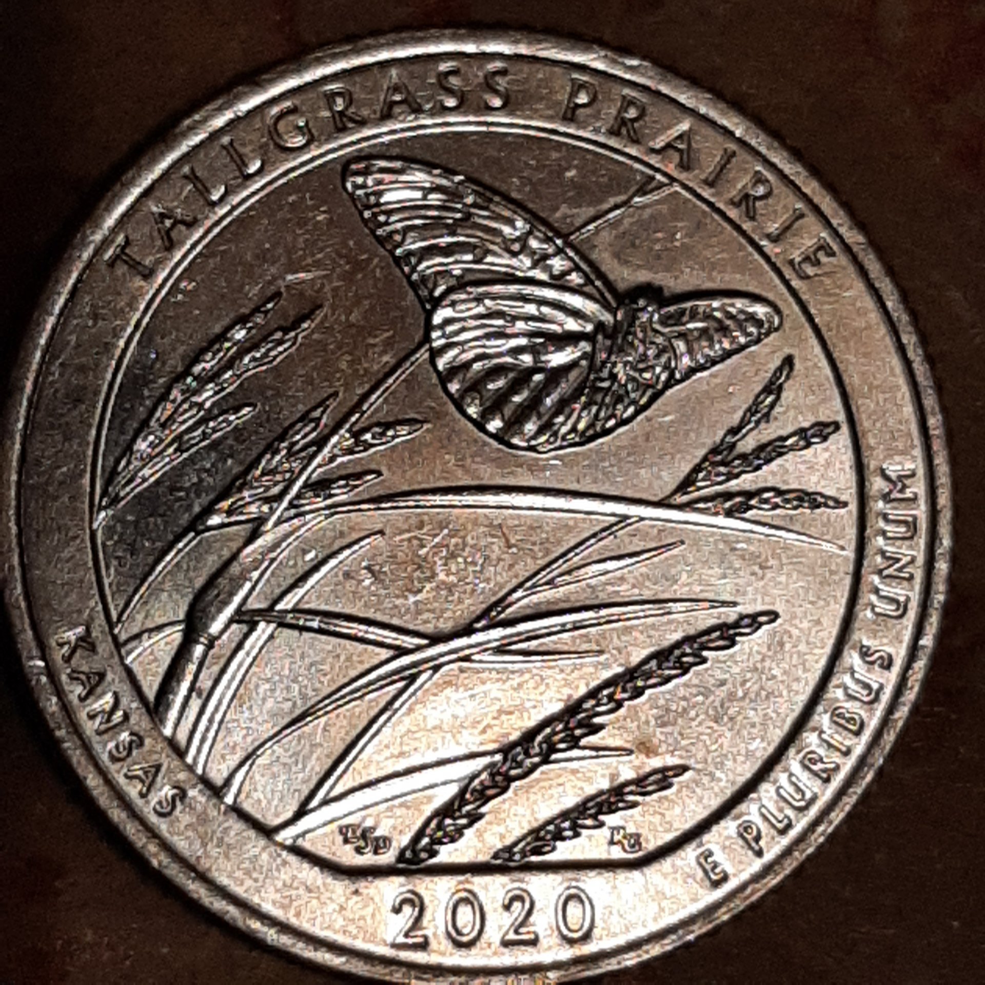 20240119_195514.jpg
