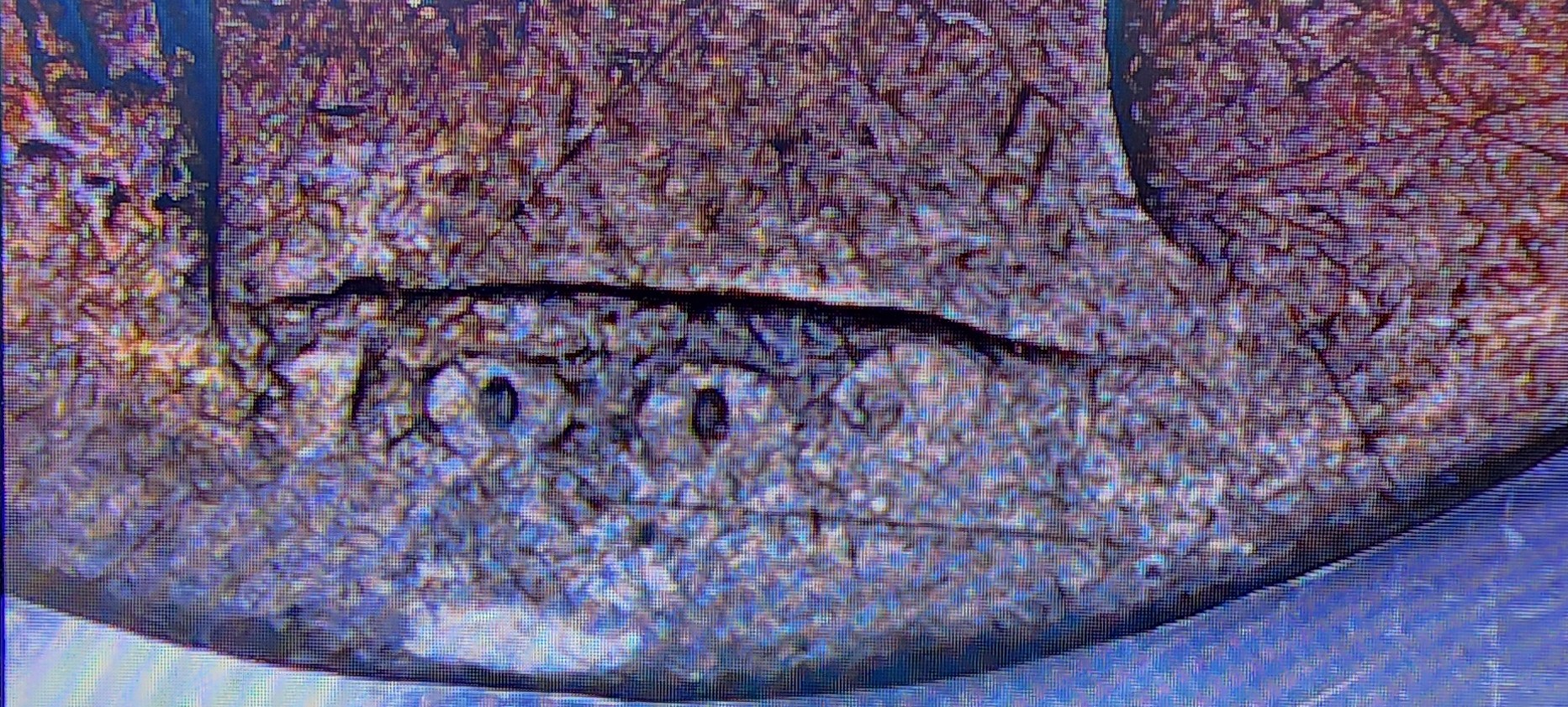 20240121_143859.jpg