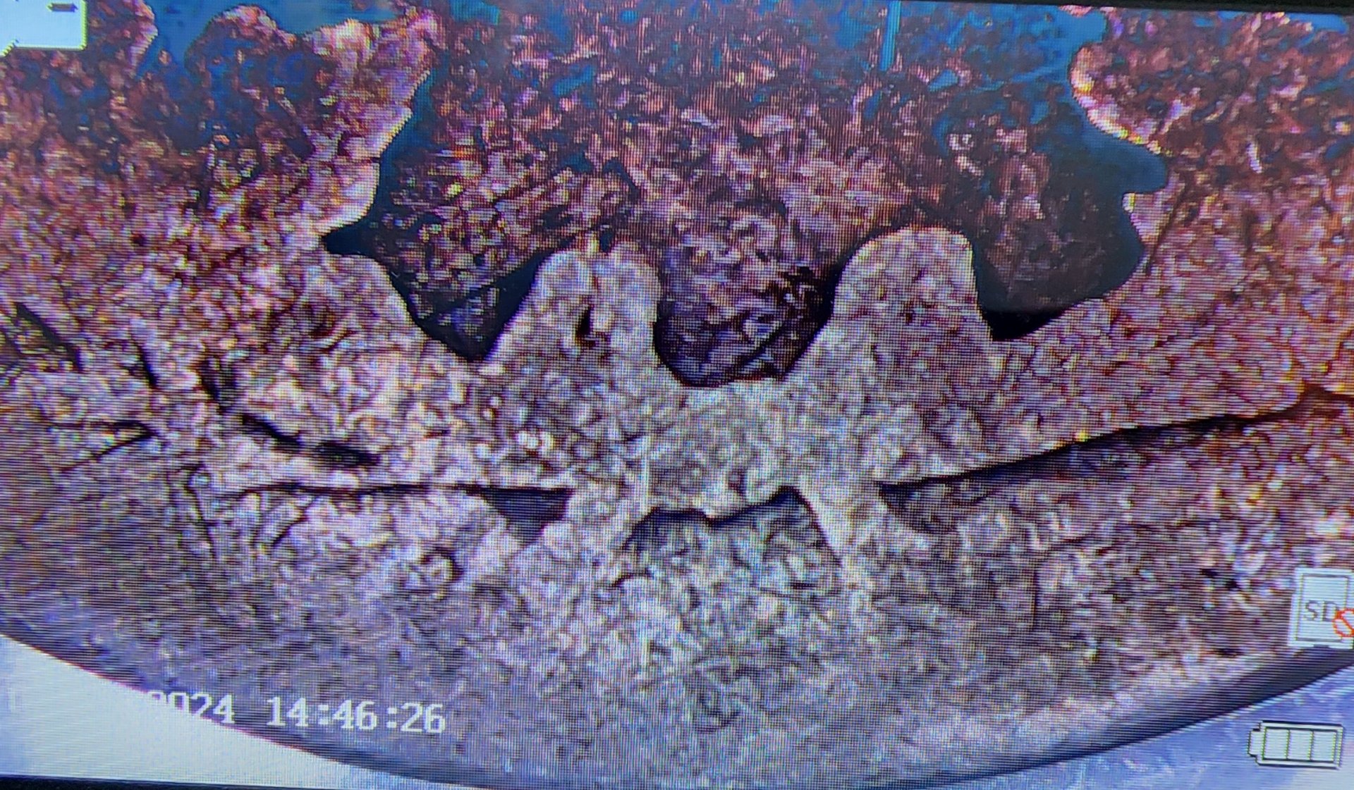 20240121_143931.jpg