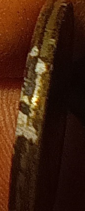 20240125_075856.jpg
