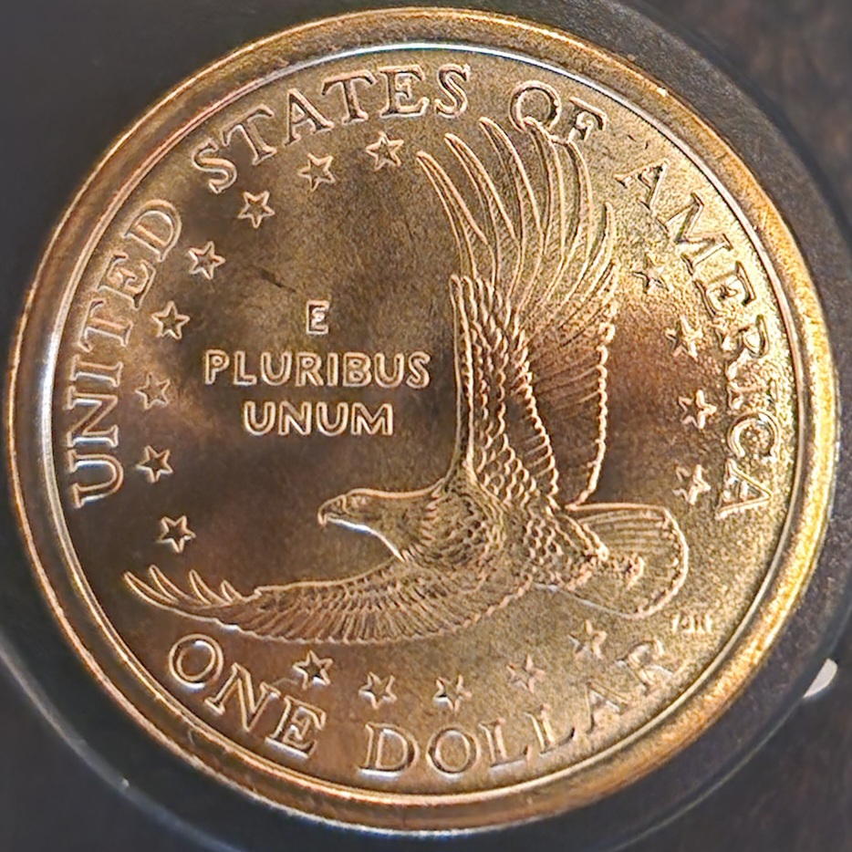20240126_153706.jpg