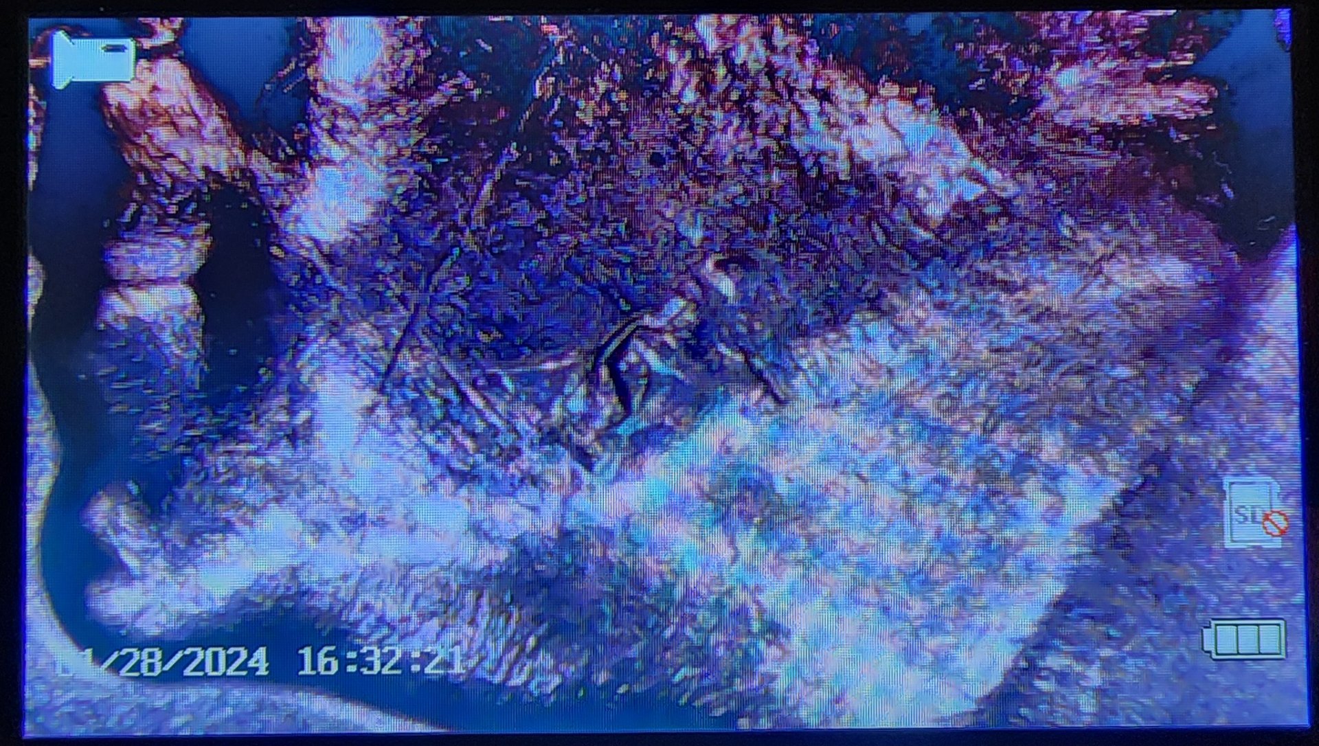20240128_162431.jpg