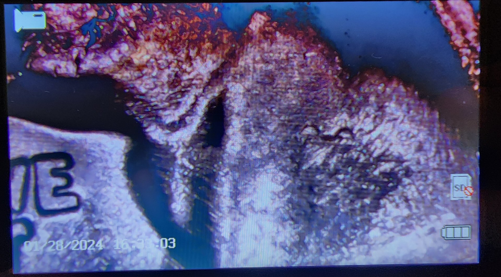 20240128_162513.jpg