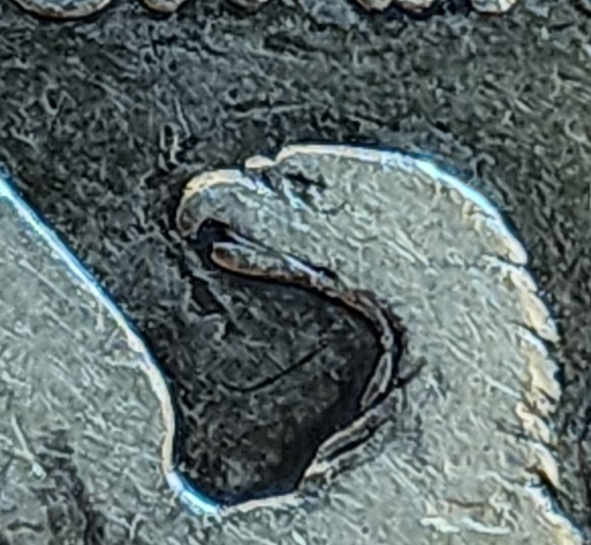 20240202_183243.jpg