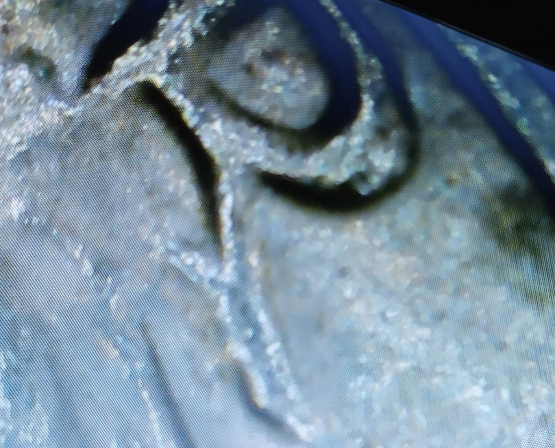 20240203_065405.jpg