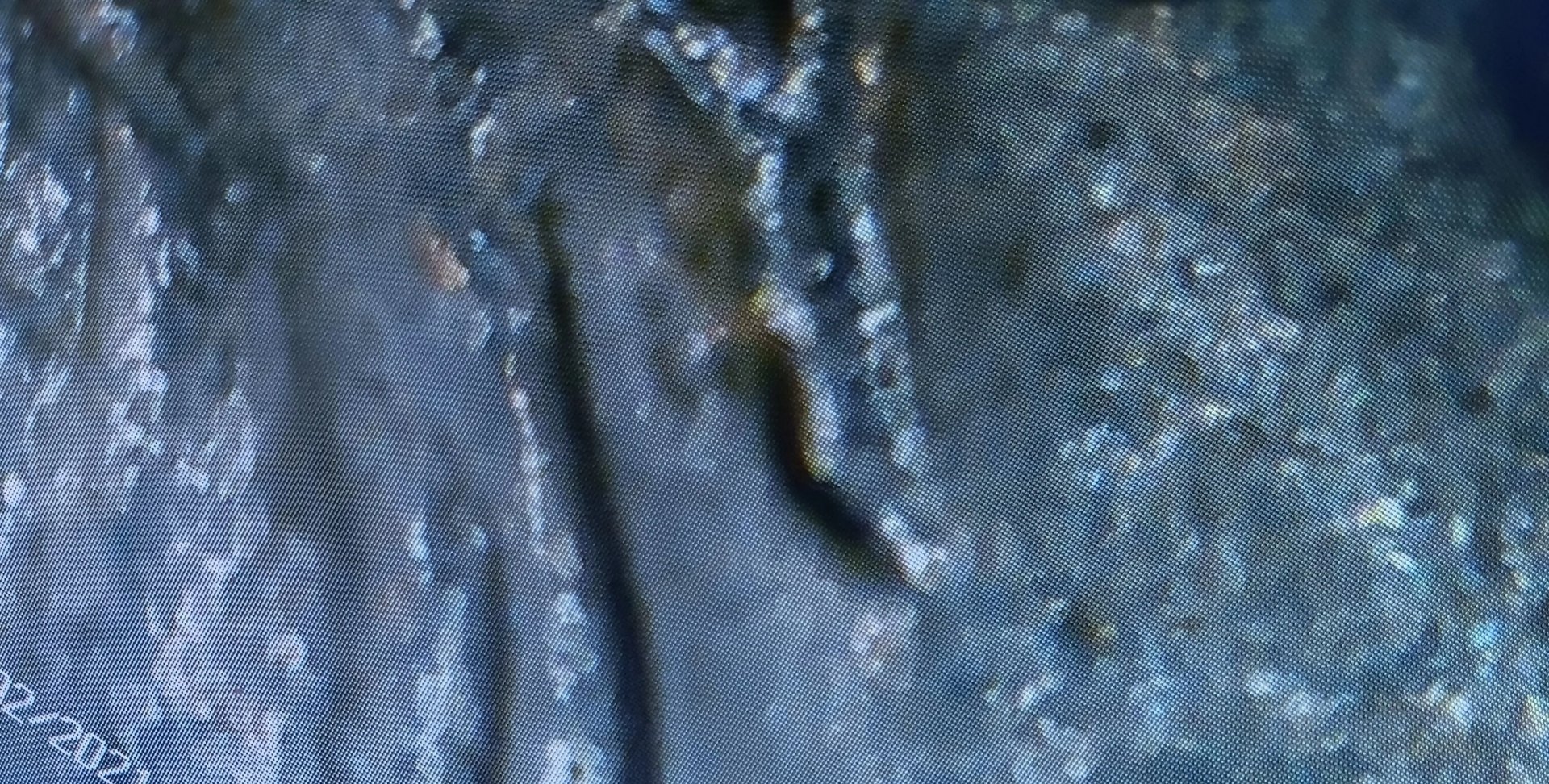 20240203_065415.jpg