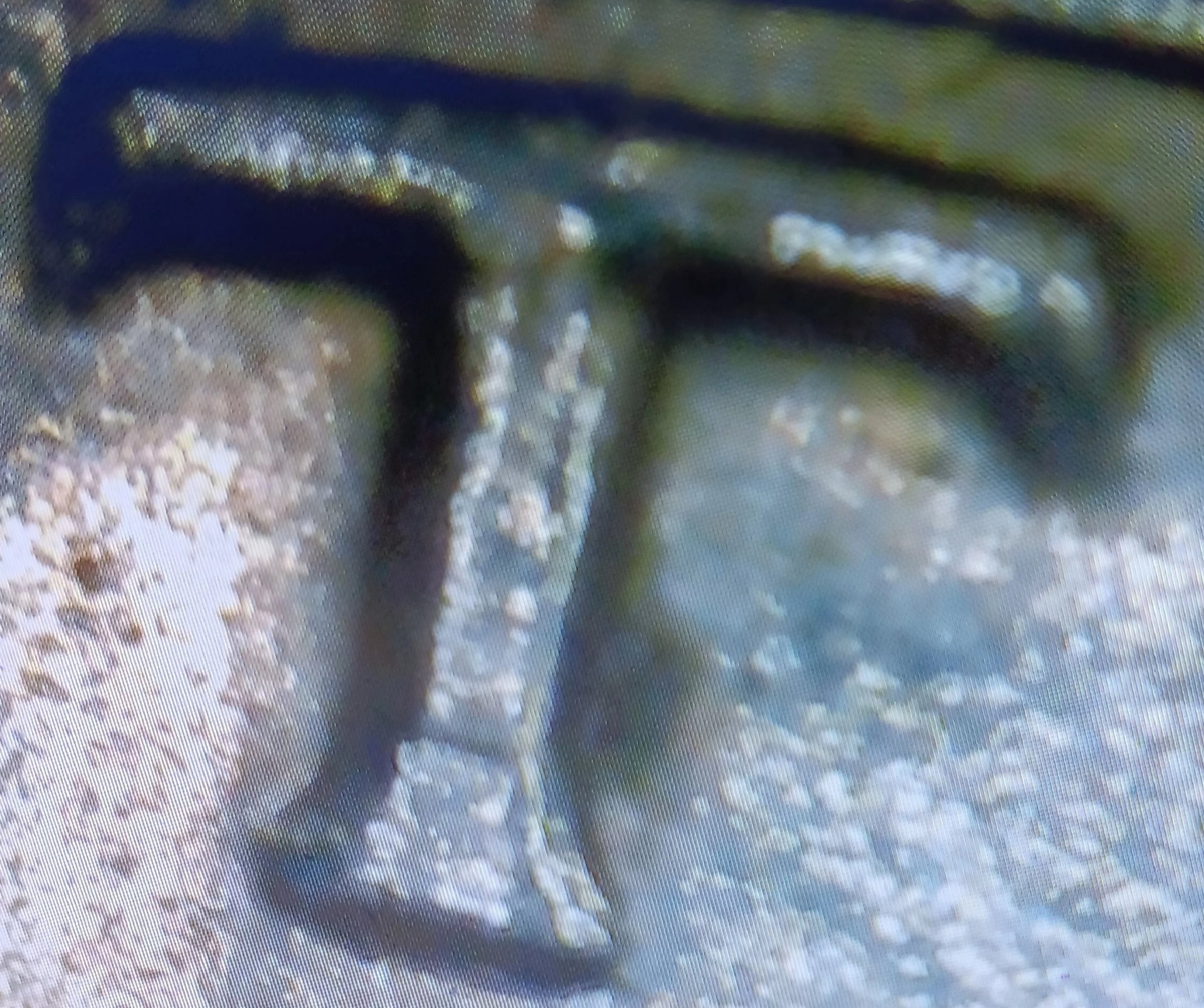 20240203_065432.jpg